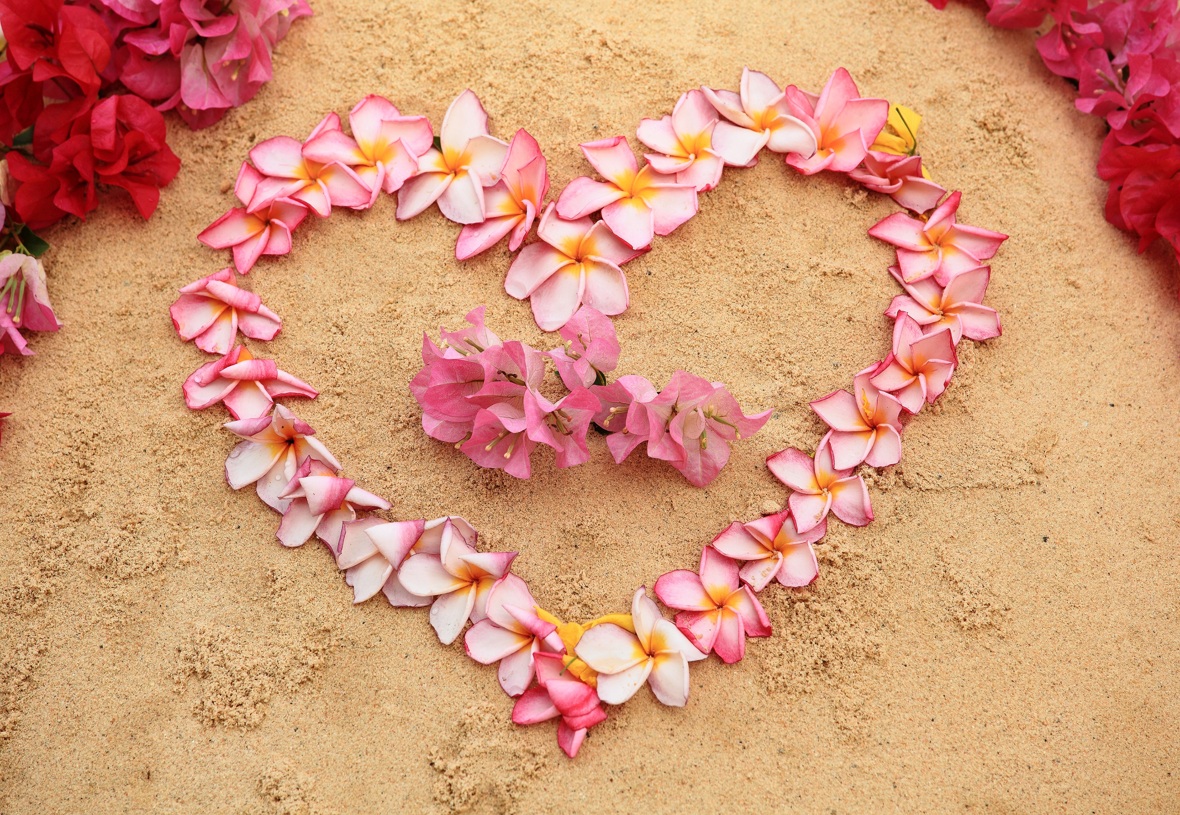 Heart shape made of plumeria flowers on sand HD Wallpaper
