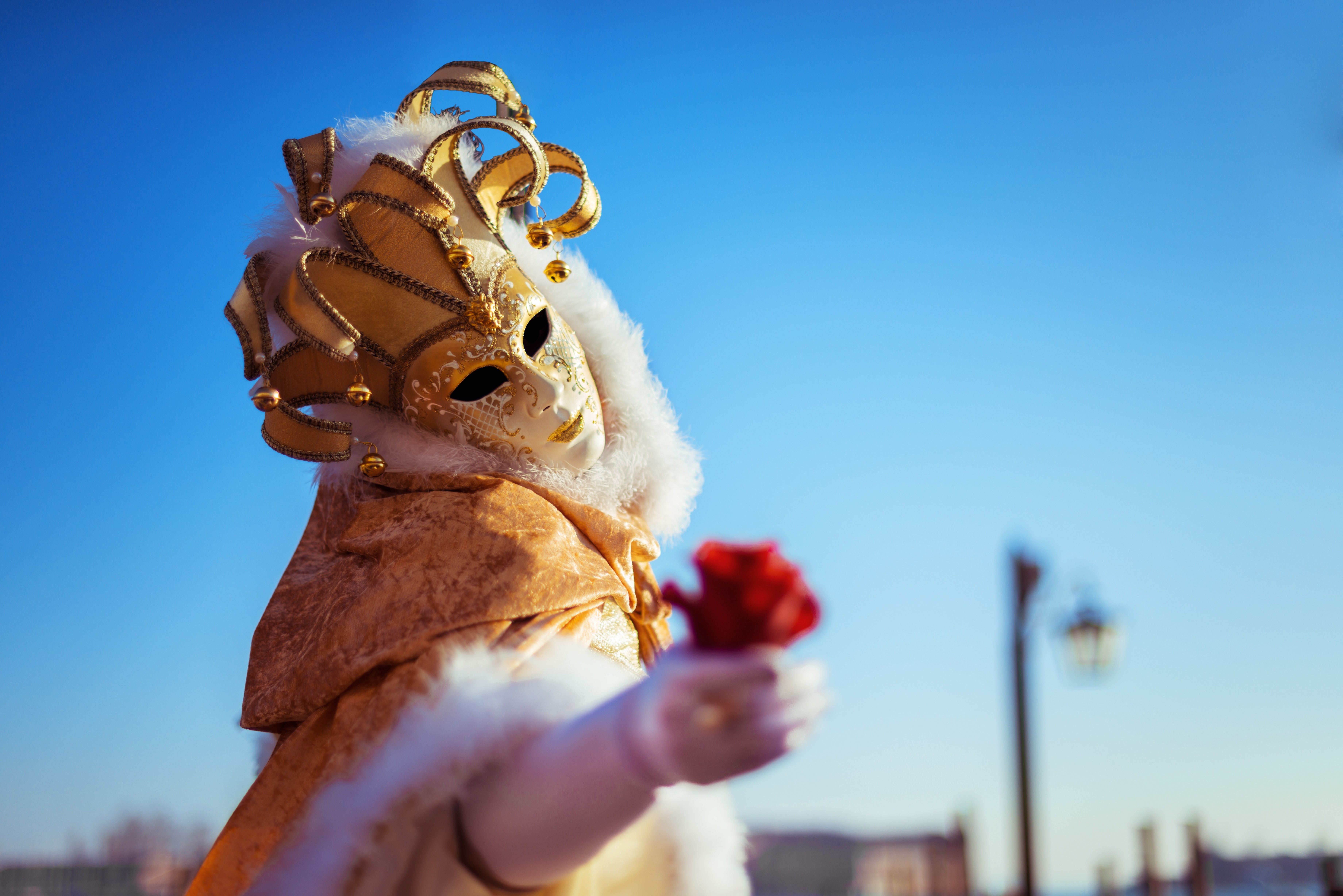 Venetian Carnival Mask with Rose HD Wallpaper