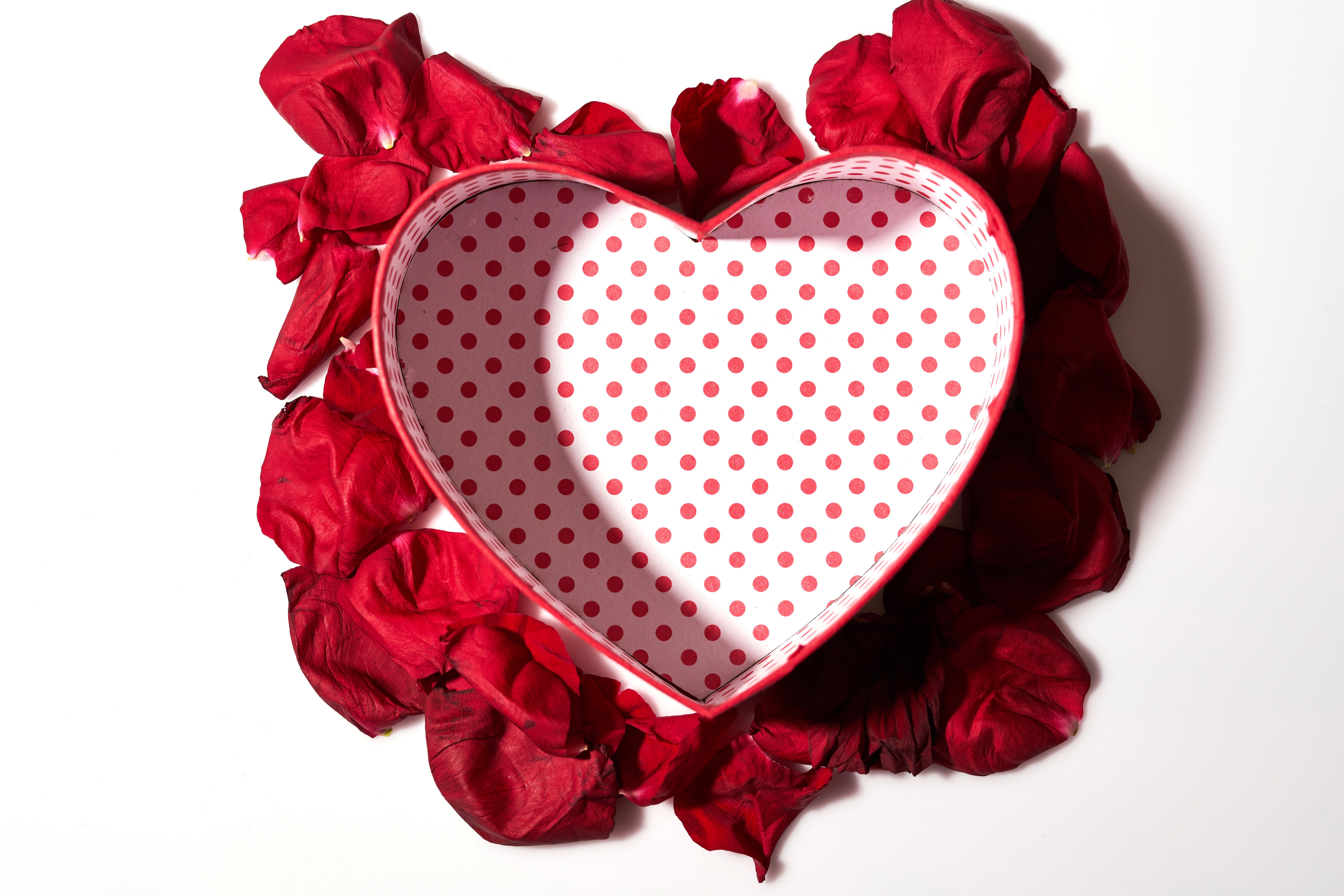 Heart-shaped box with red rose petals HD Wallpaper