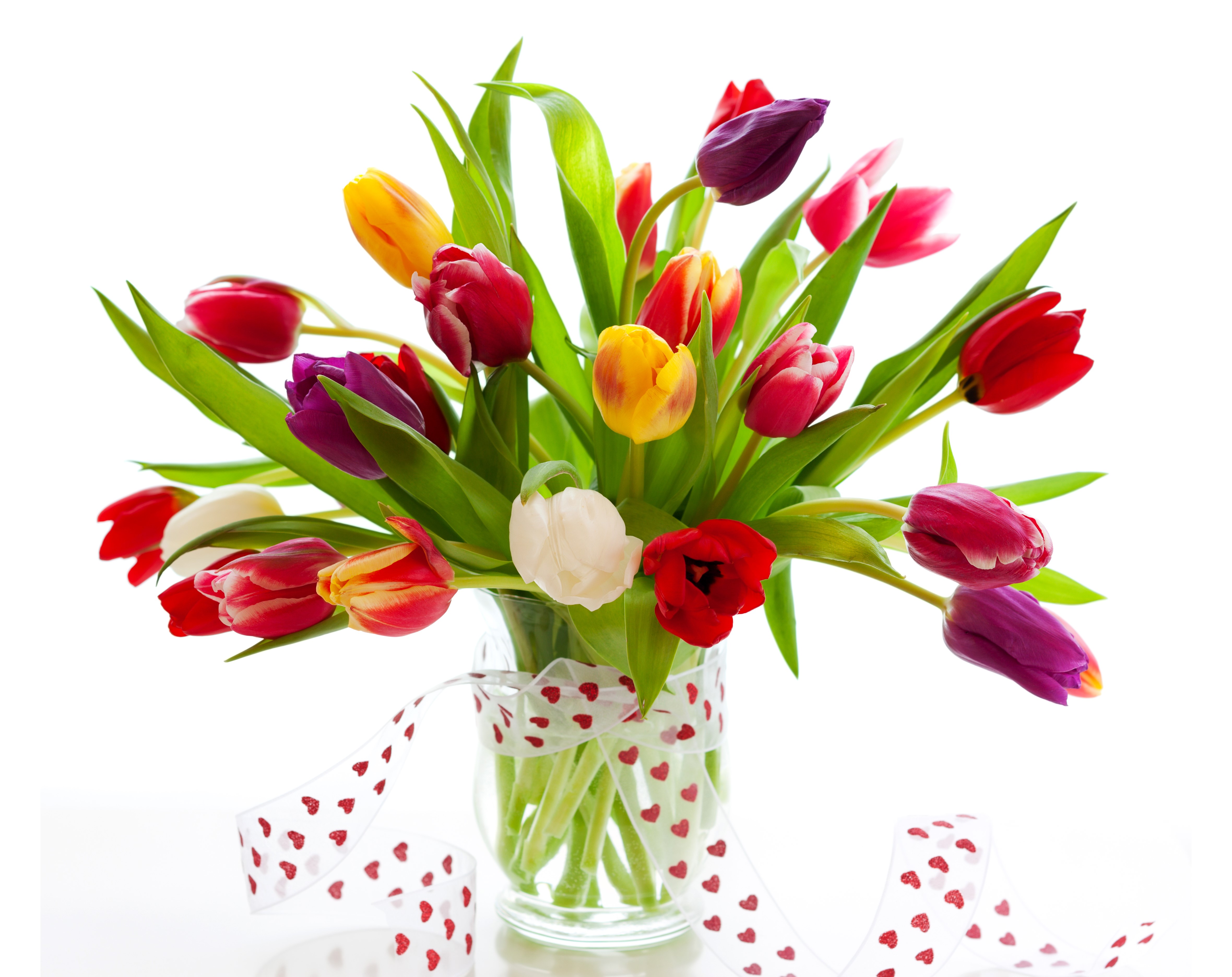 Bouquet of Tulips in a Vase with Ribbon HD Wallpaper