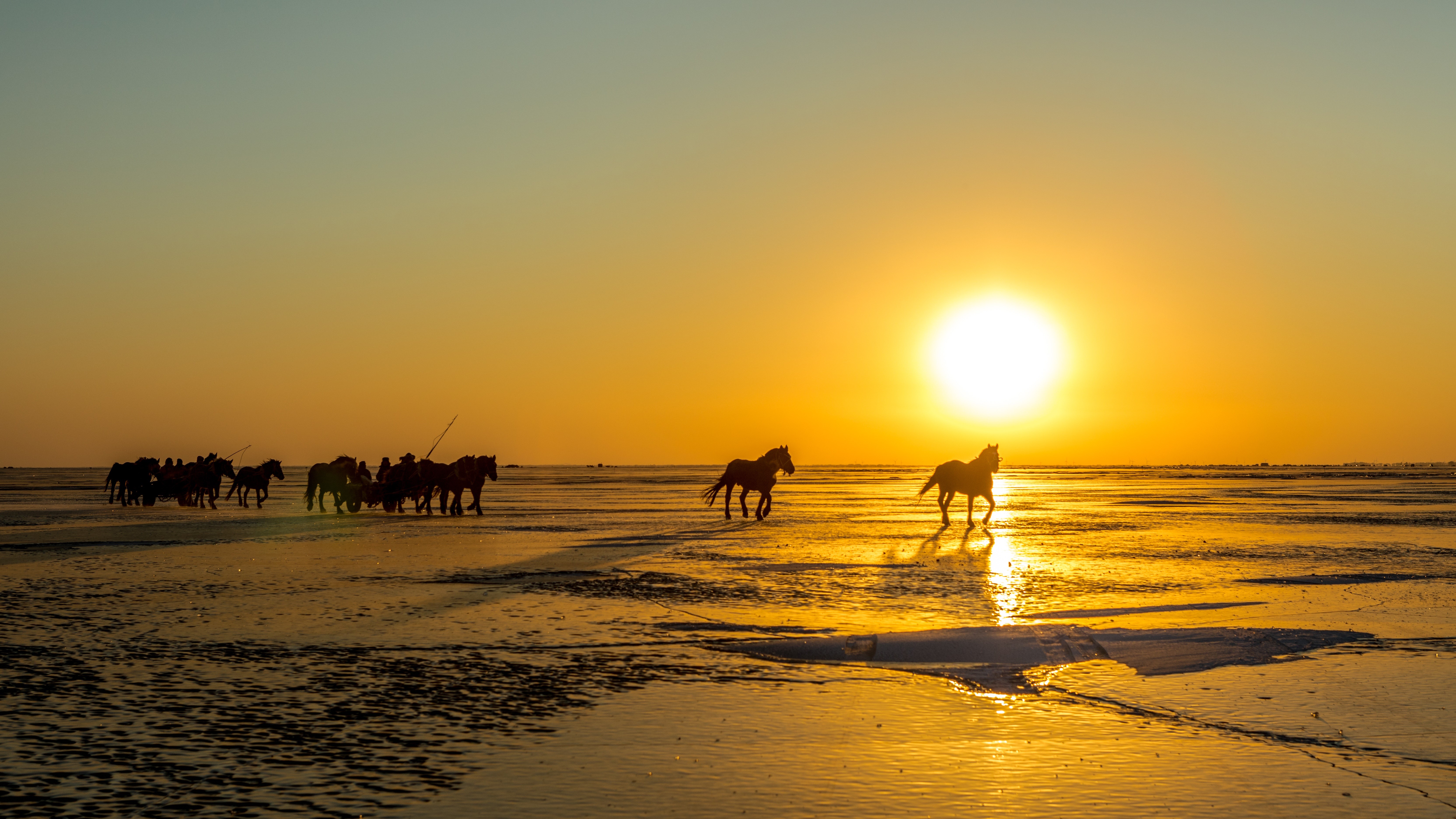 Horses running on a frozen lake at sunset HD Wallpaper