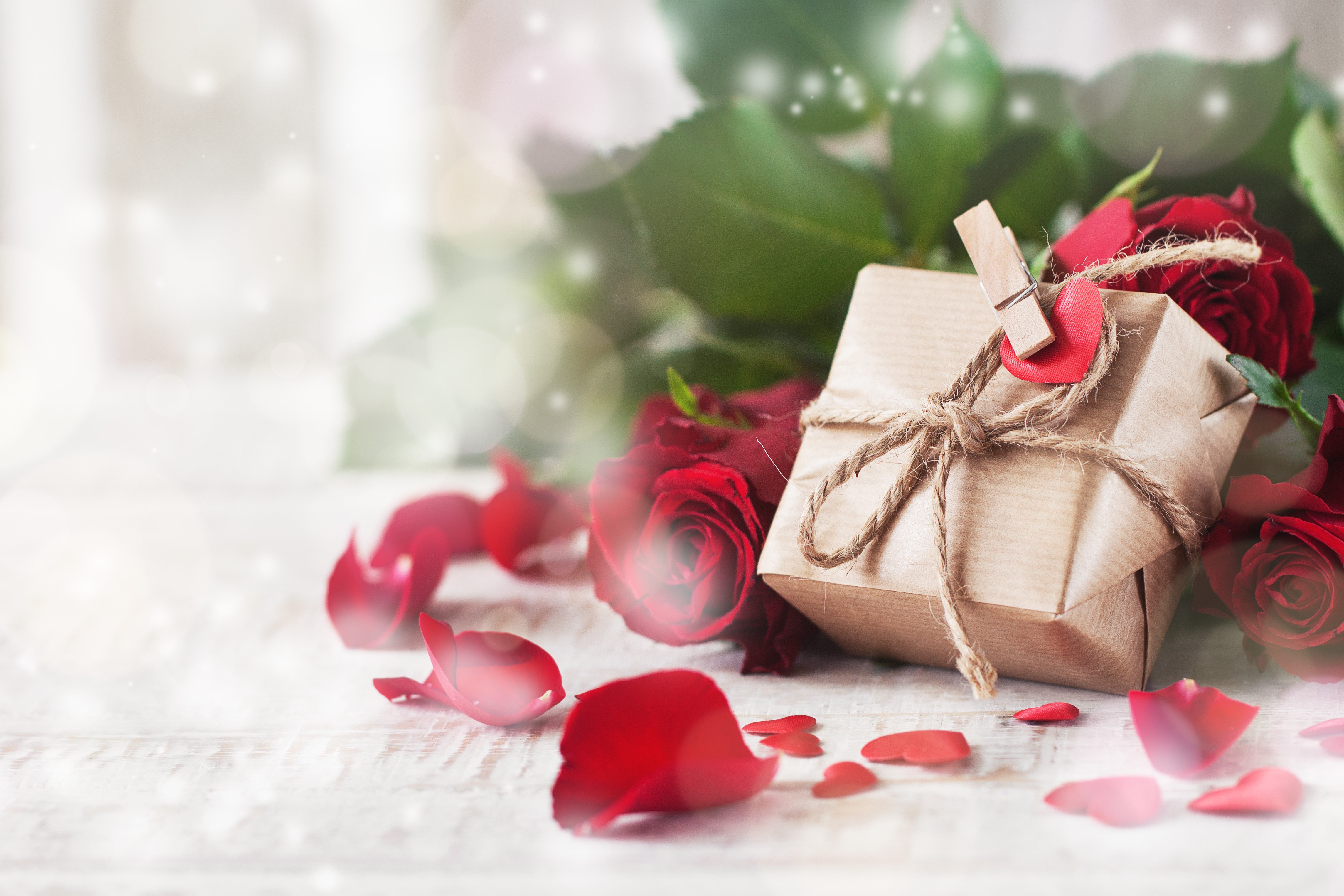 Valentine's Day gift with red roses and petals HD Wallpaper