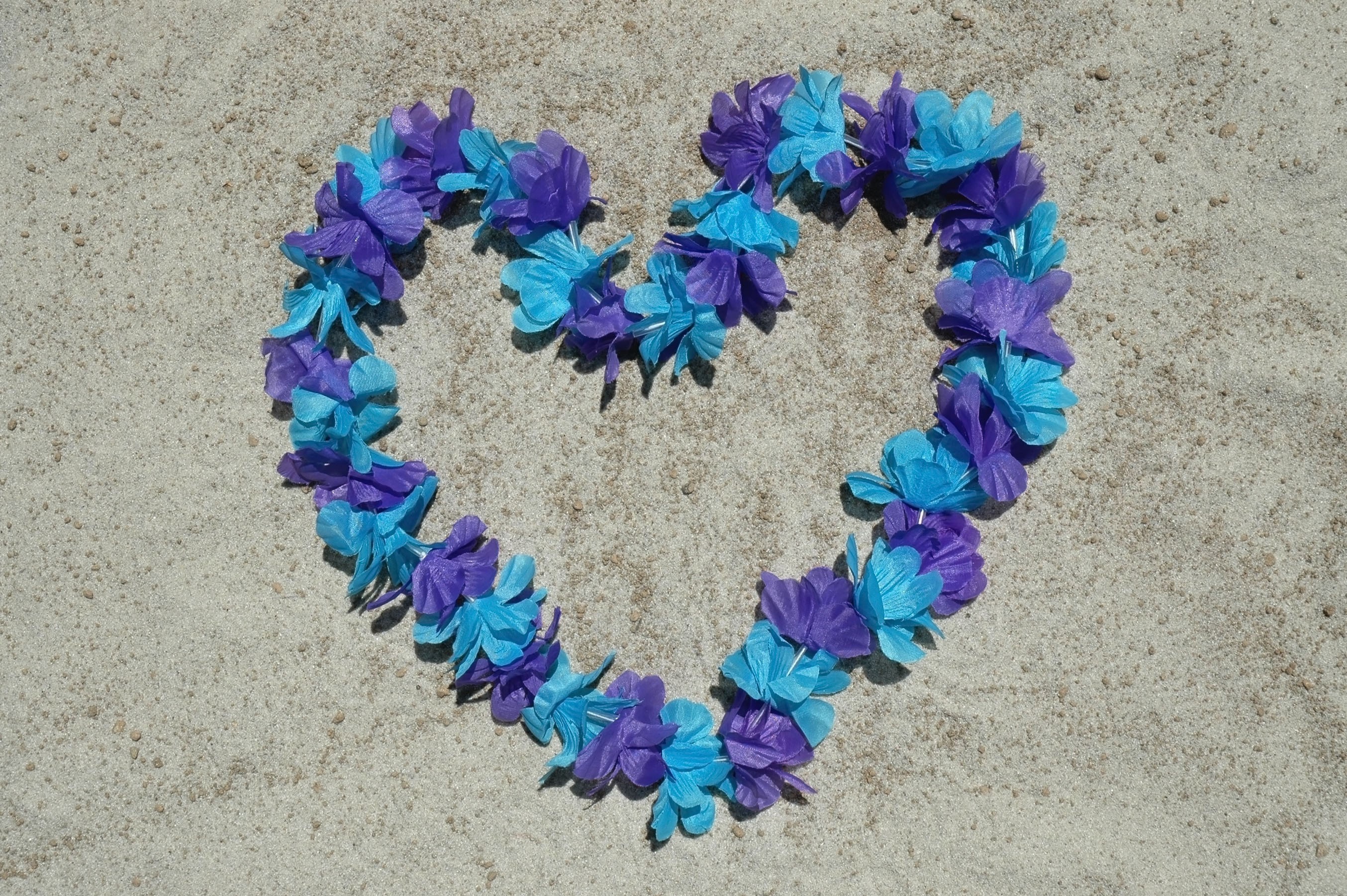 Heart made of blue and purple flowers on sand HD Wallpaper