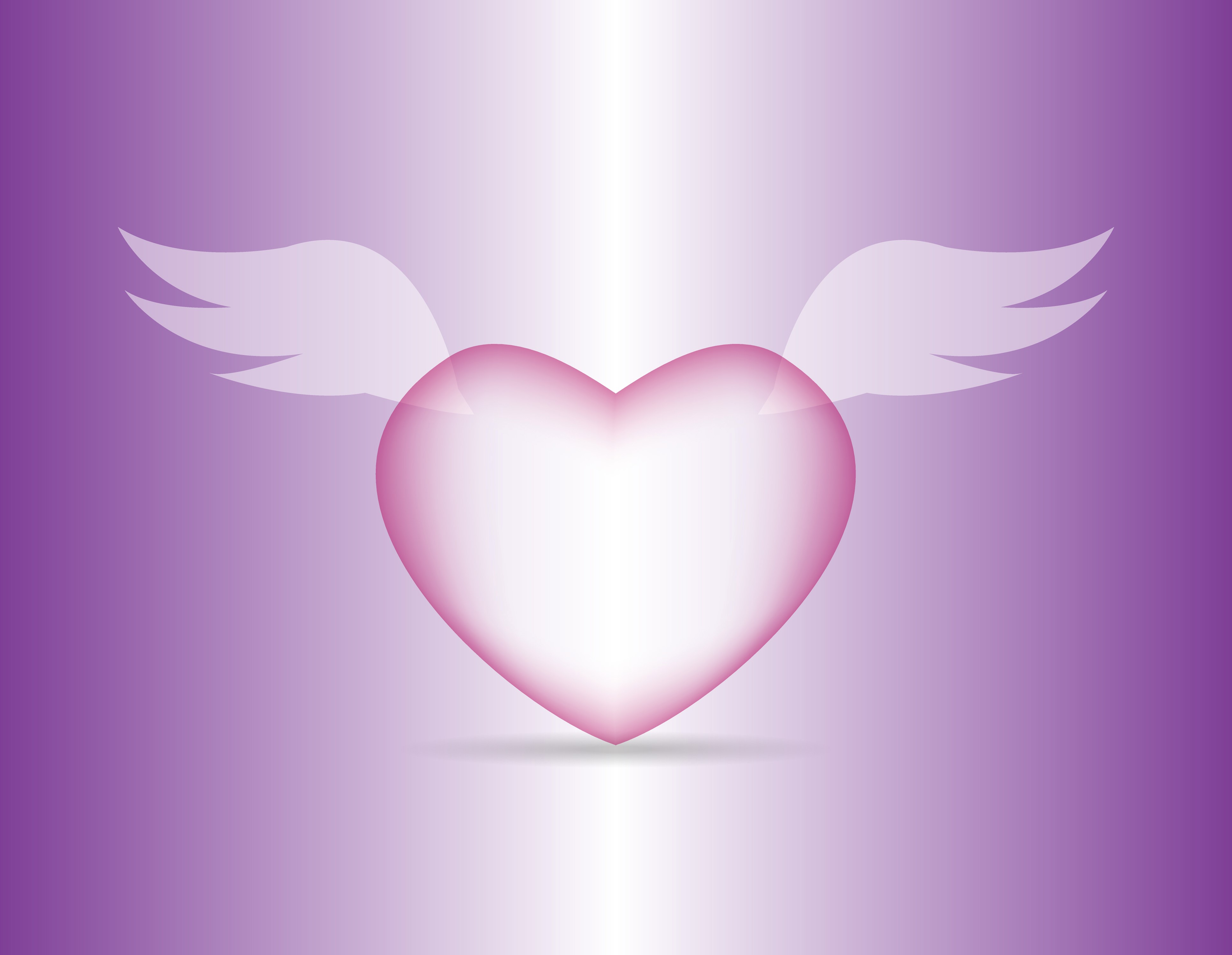 Pink heart with wings on a purple background HD Wallpaper
