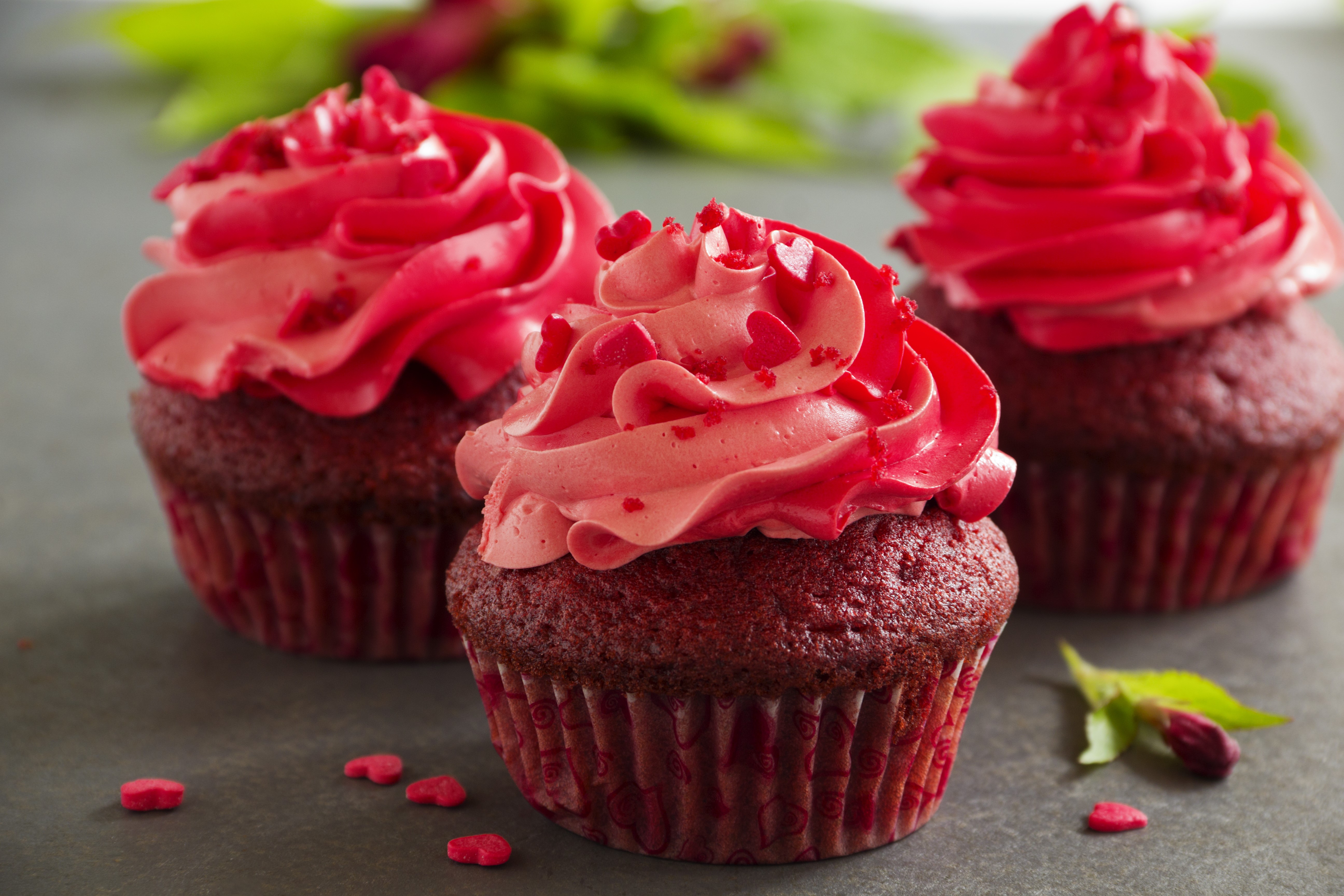 Red Velvet Cupcakes with Pink Frosting and Hearts HD Wallpaper