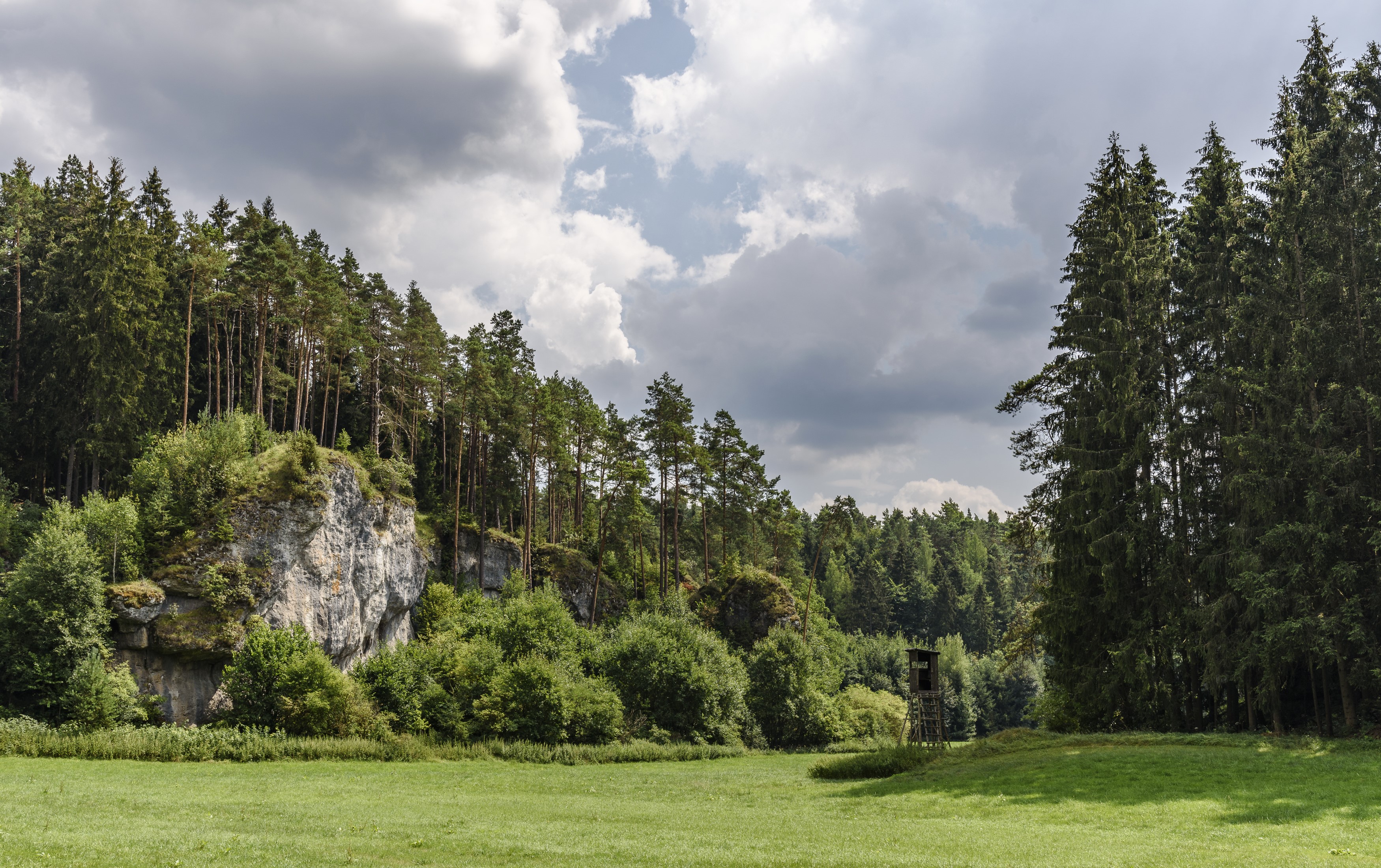Forest and rock formation in Bavaria, Germany HD Wallpaper