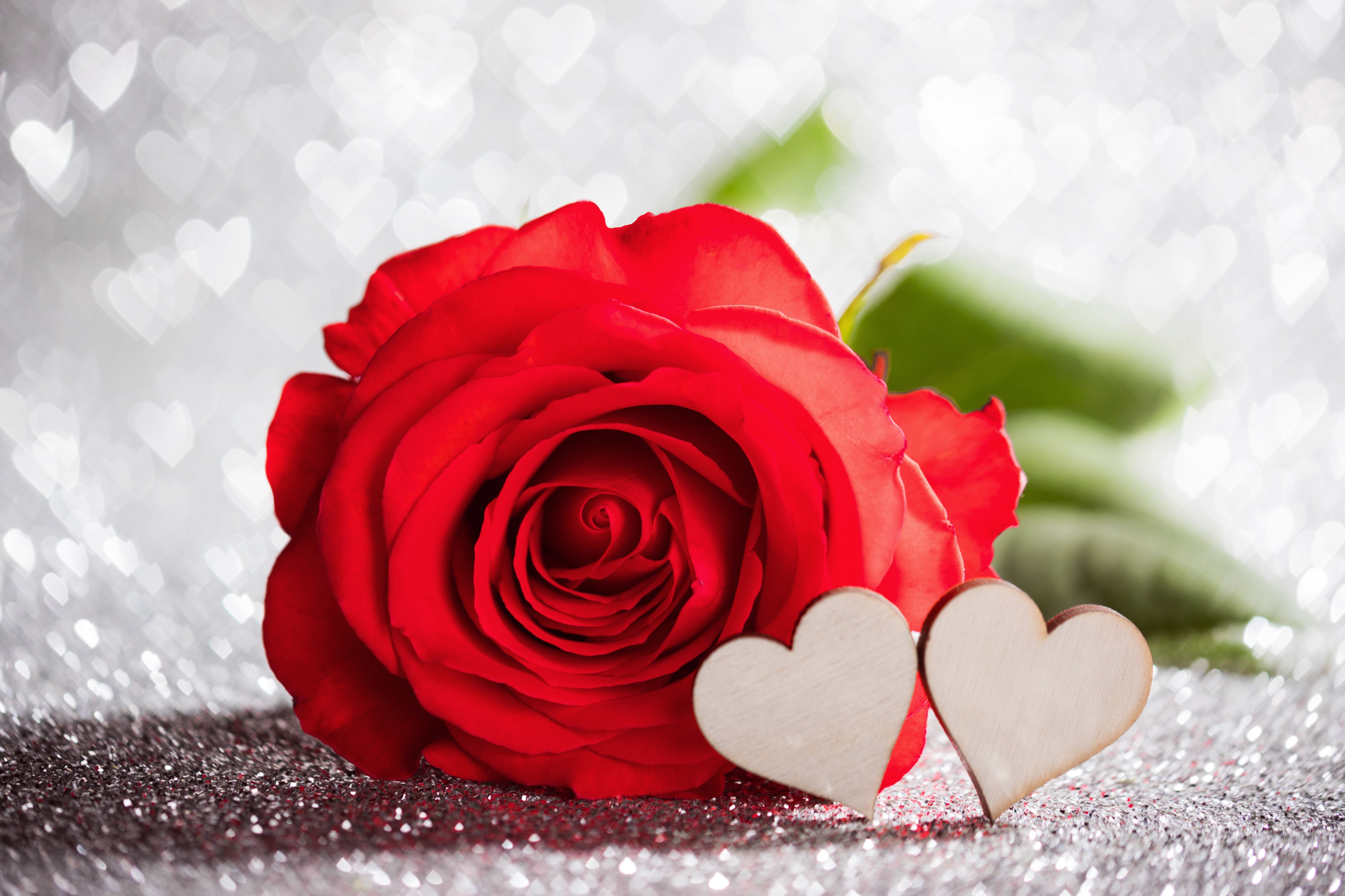 Red Rose with Two Hearts on Glittery Background HD Wallpaper