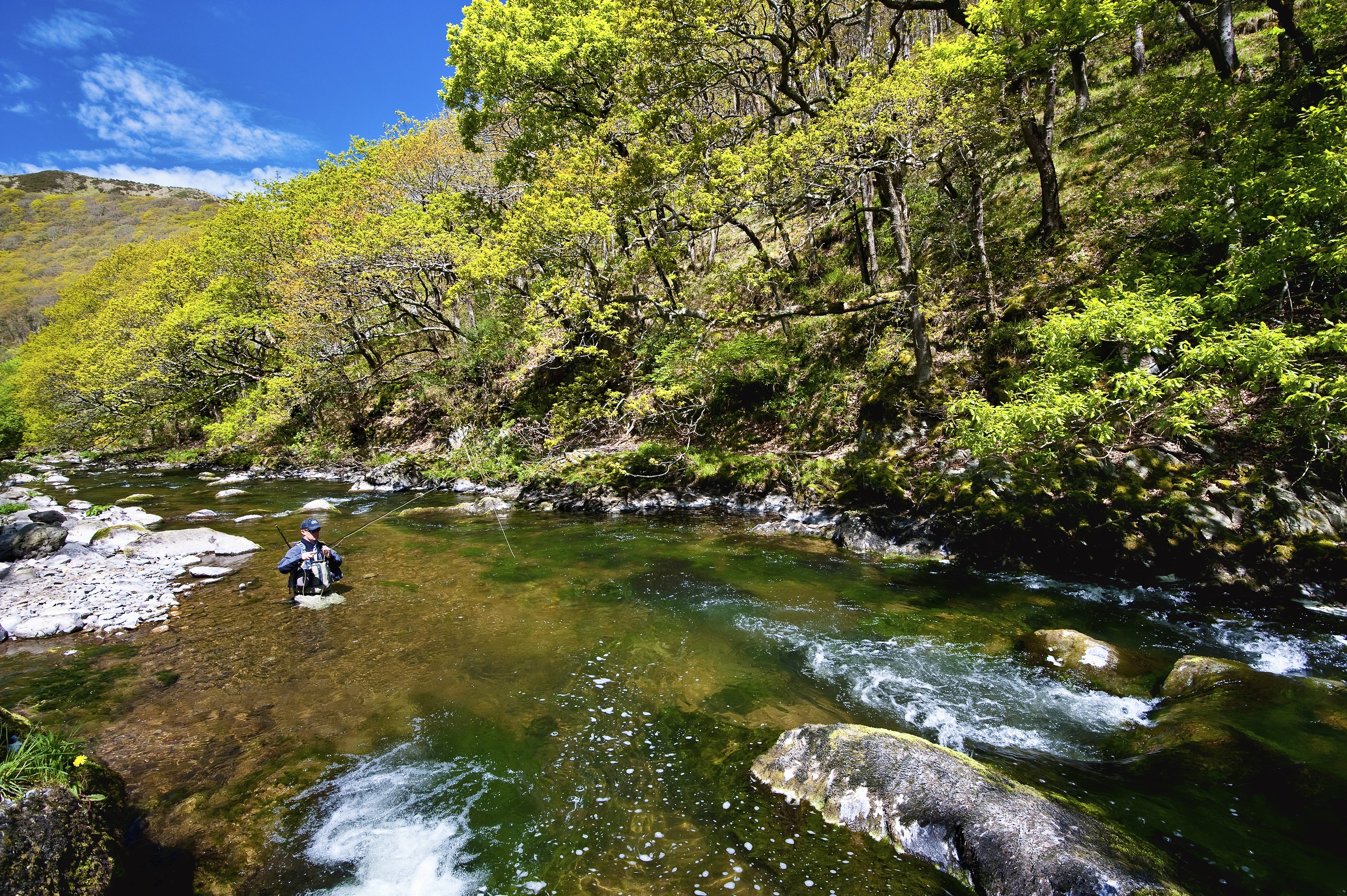 Man fly fishing in a river in Exmoor National Park HD Wallpaper