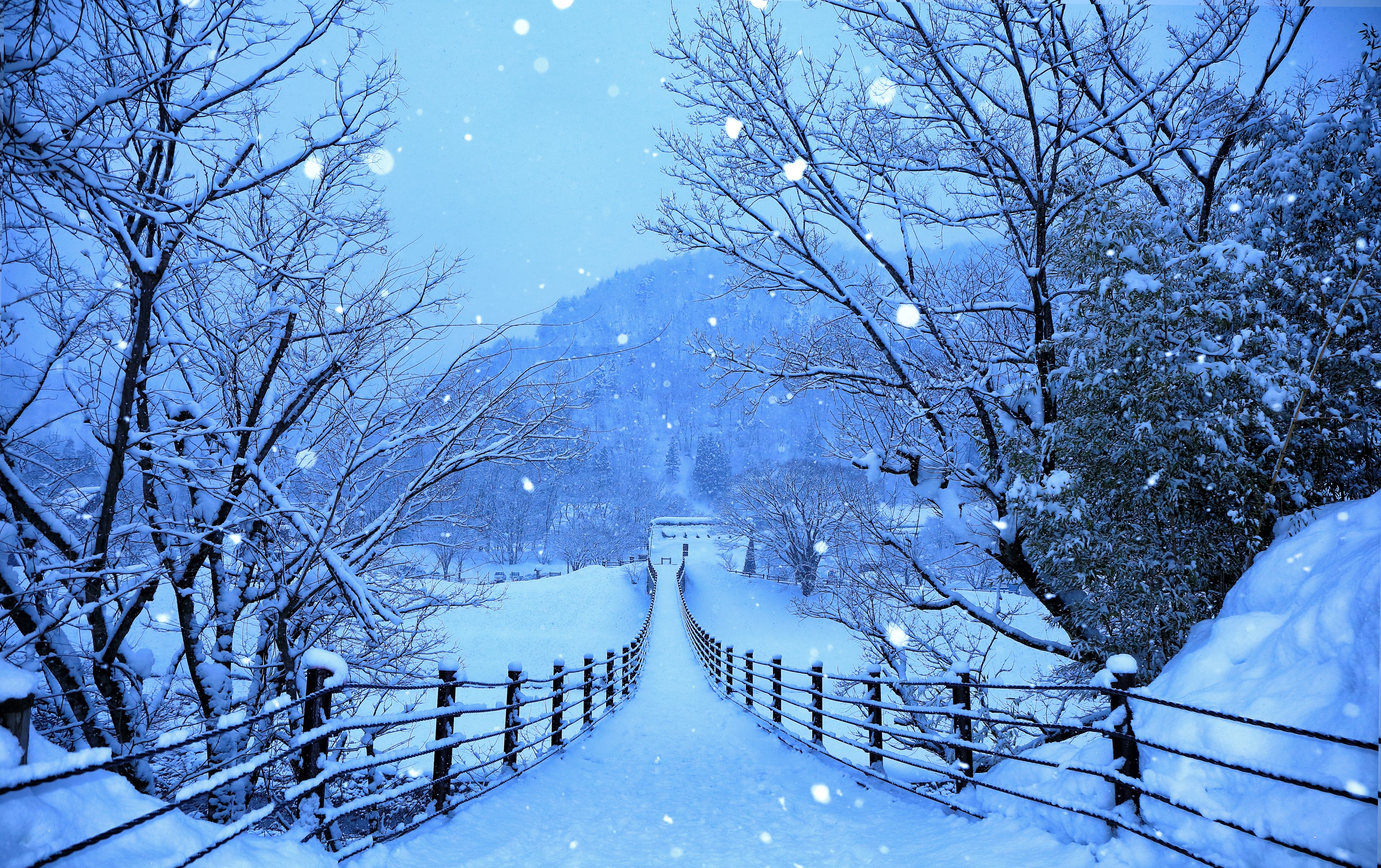 Snowy suspension bridge in Shirakawa-go and Gokayama, Japan HD Wallpaper