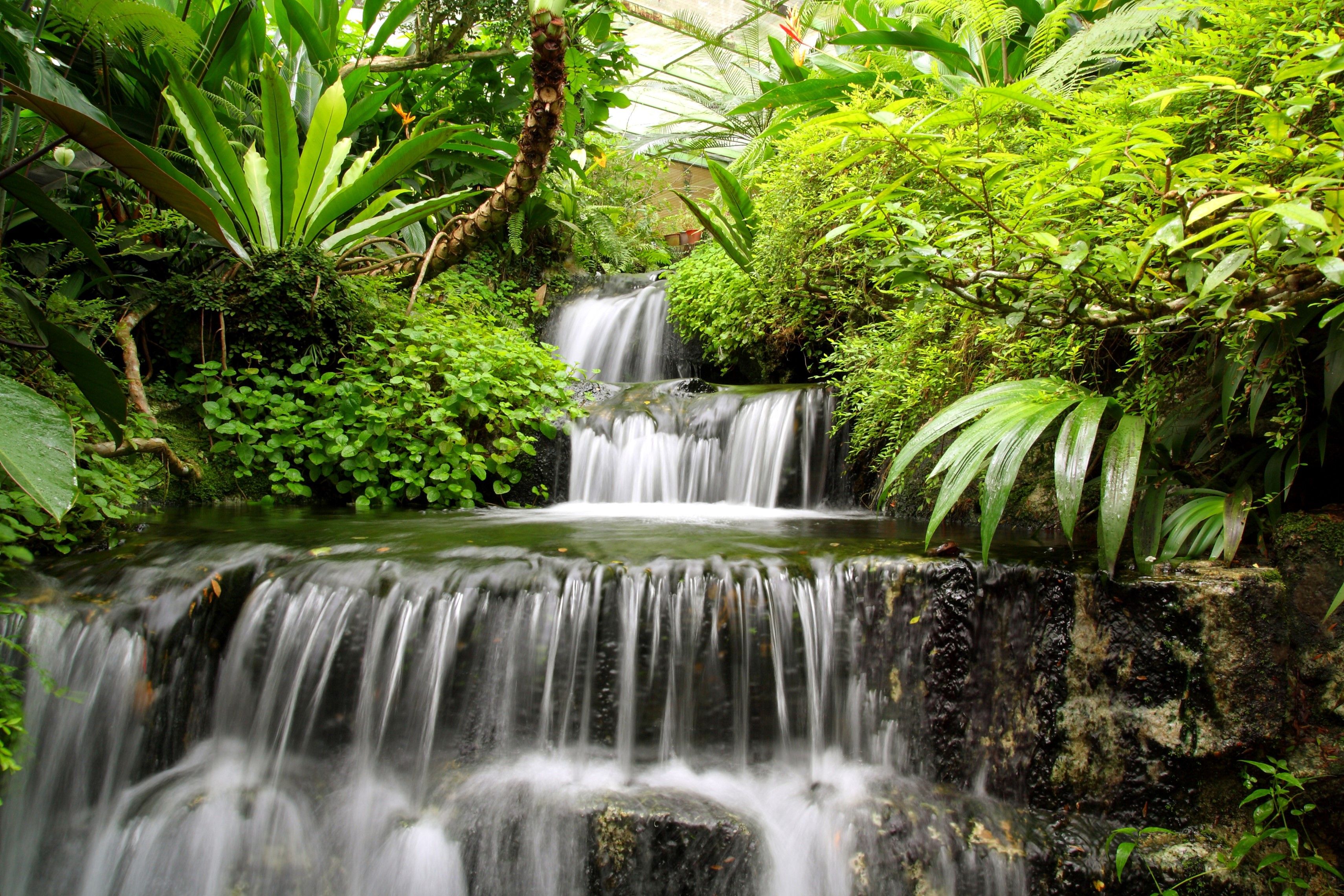 Lush Greenery Surrounding Cascading Waterfalls HD Wallpaper