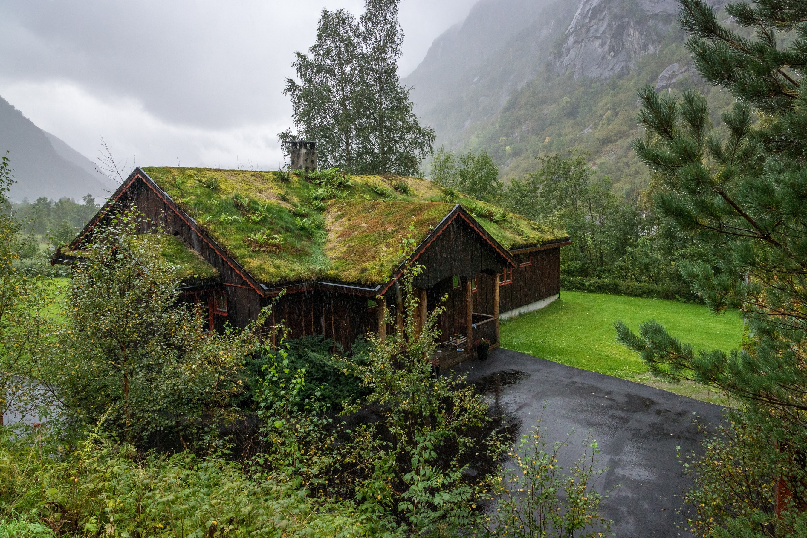Wooden house with moss roof in Osa, Hordaland, Norway HD Wallpaper