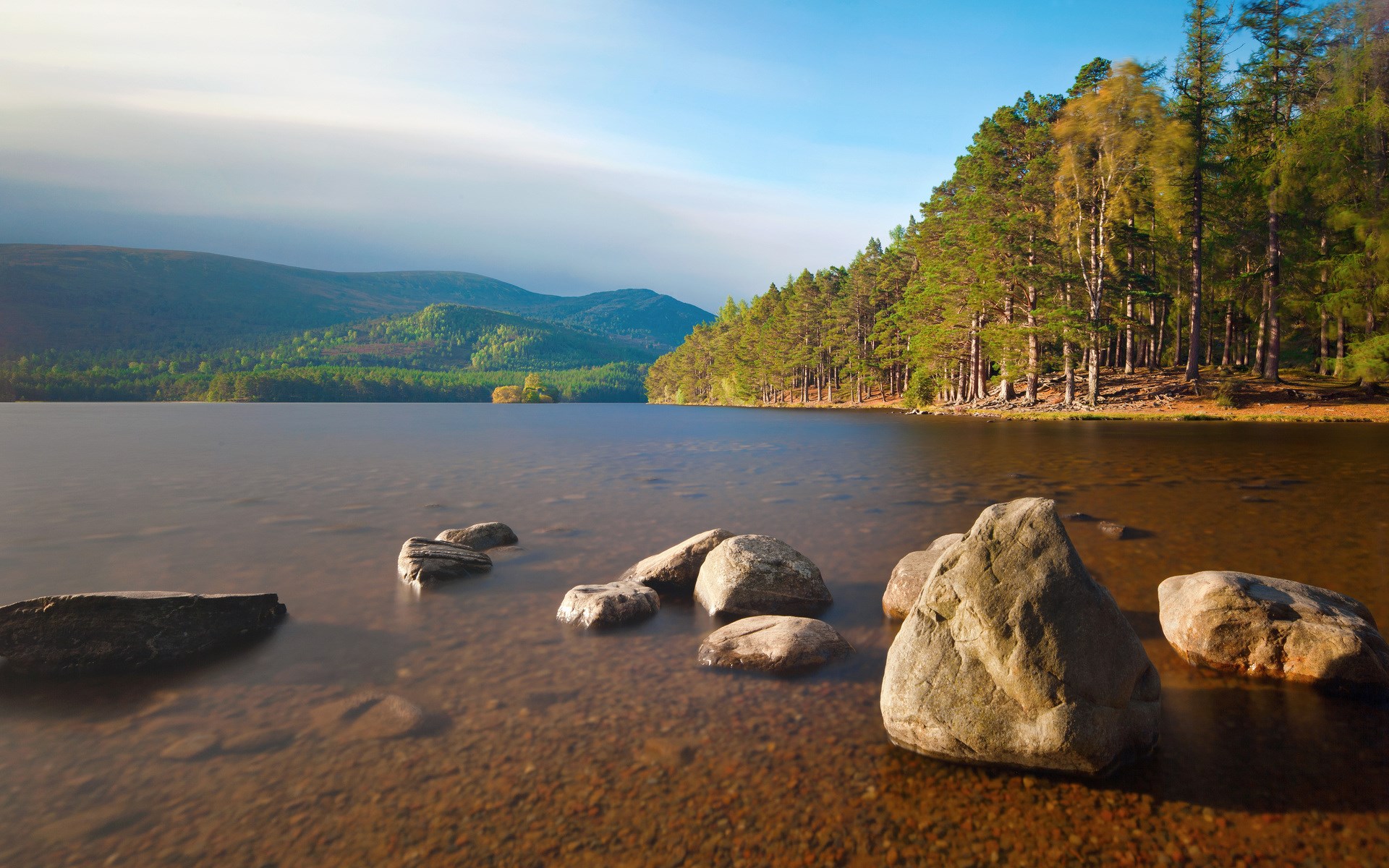 Lake with Pine Forest and Mountains HD Wallpaper