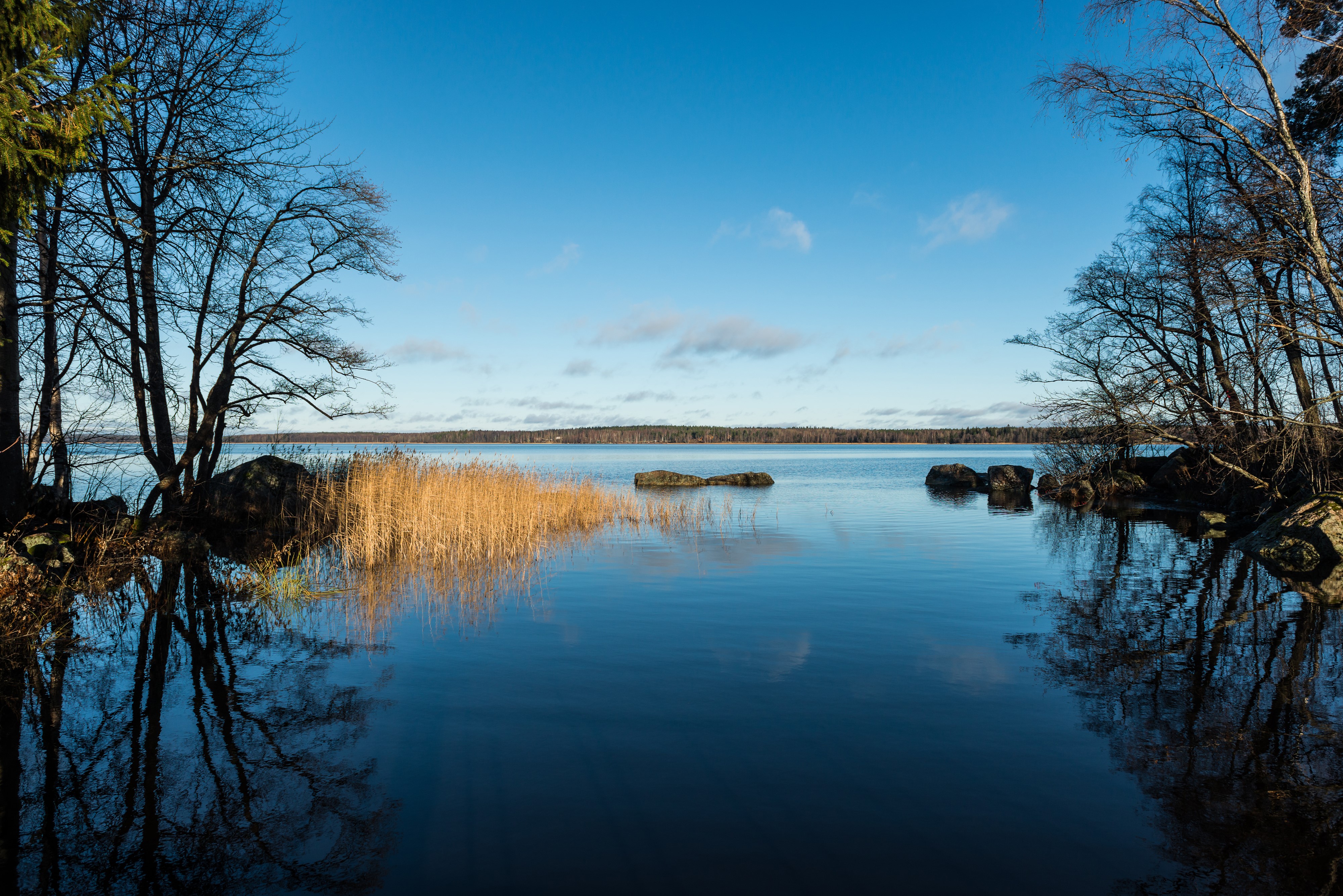 Park Monrepos Vyborg Russia River Trees HD Wallpaper