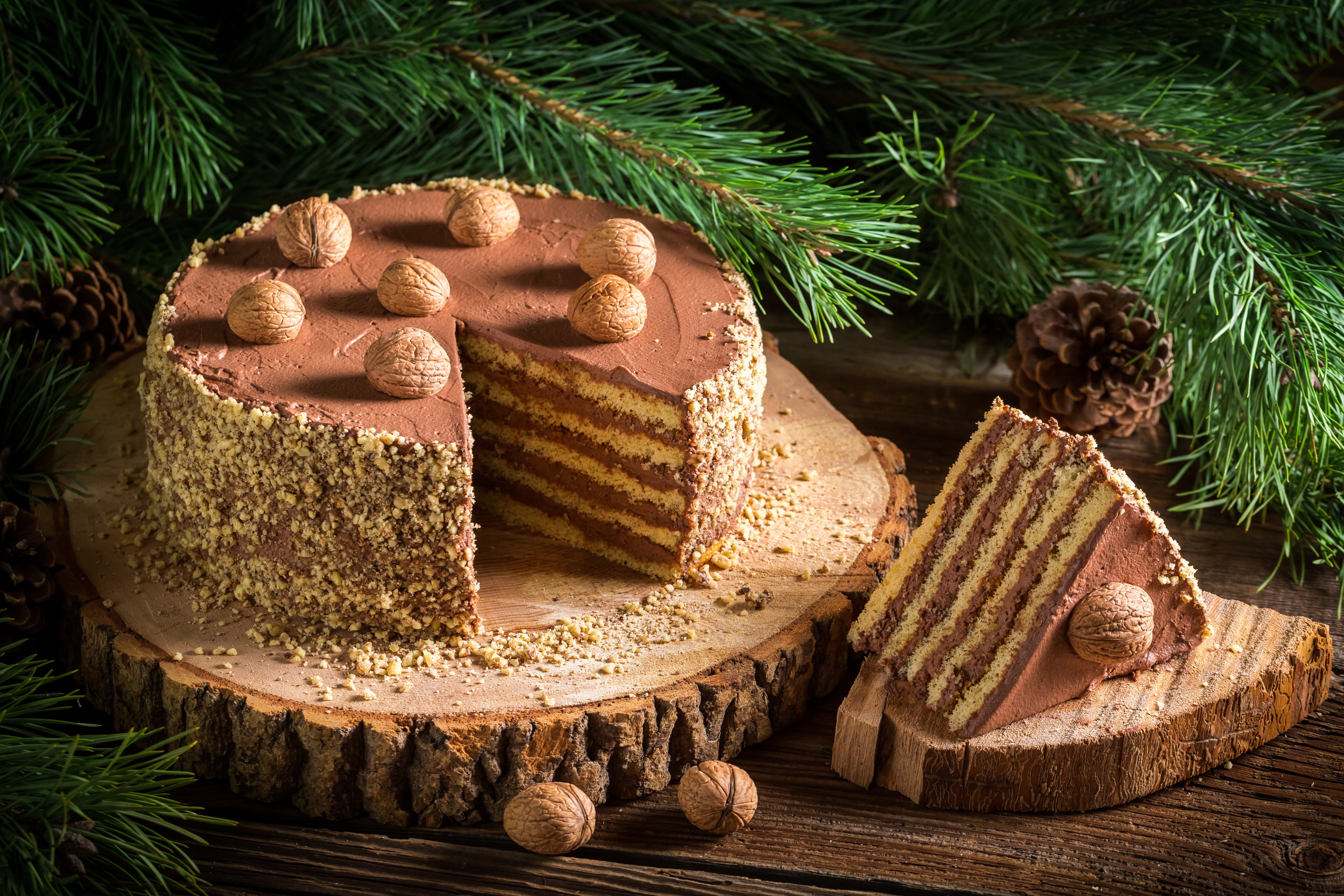 Chocolate cake with walnuts and pine branches HD Wallpaper