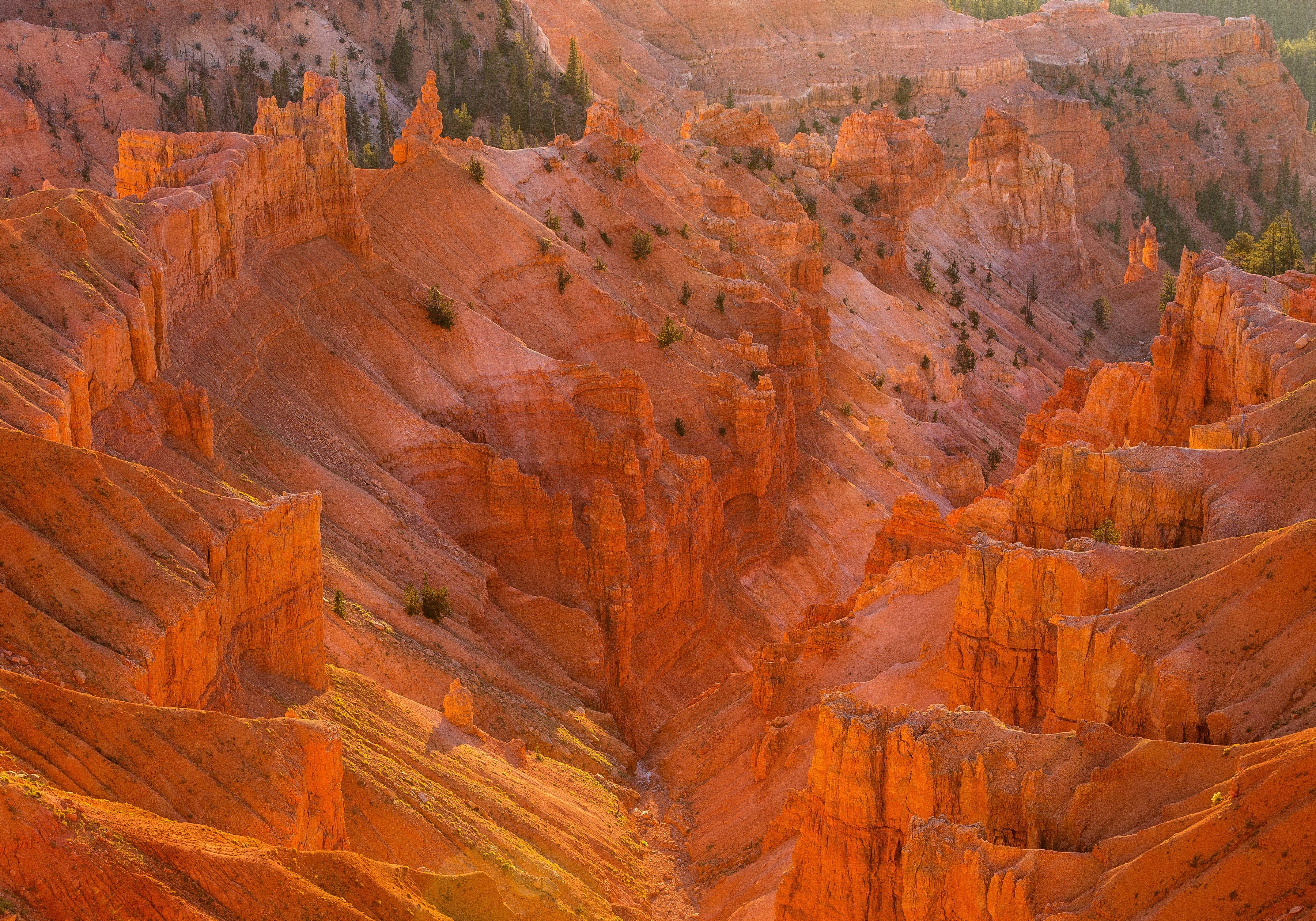 Cedar Breaks National Monument Hoodoos at Sunset HD Wallpaper