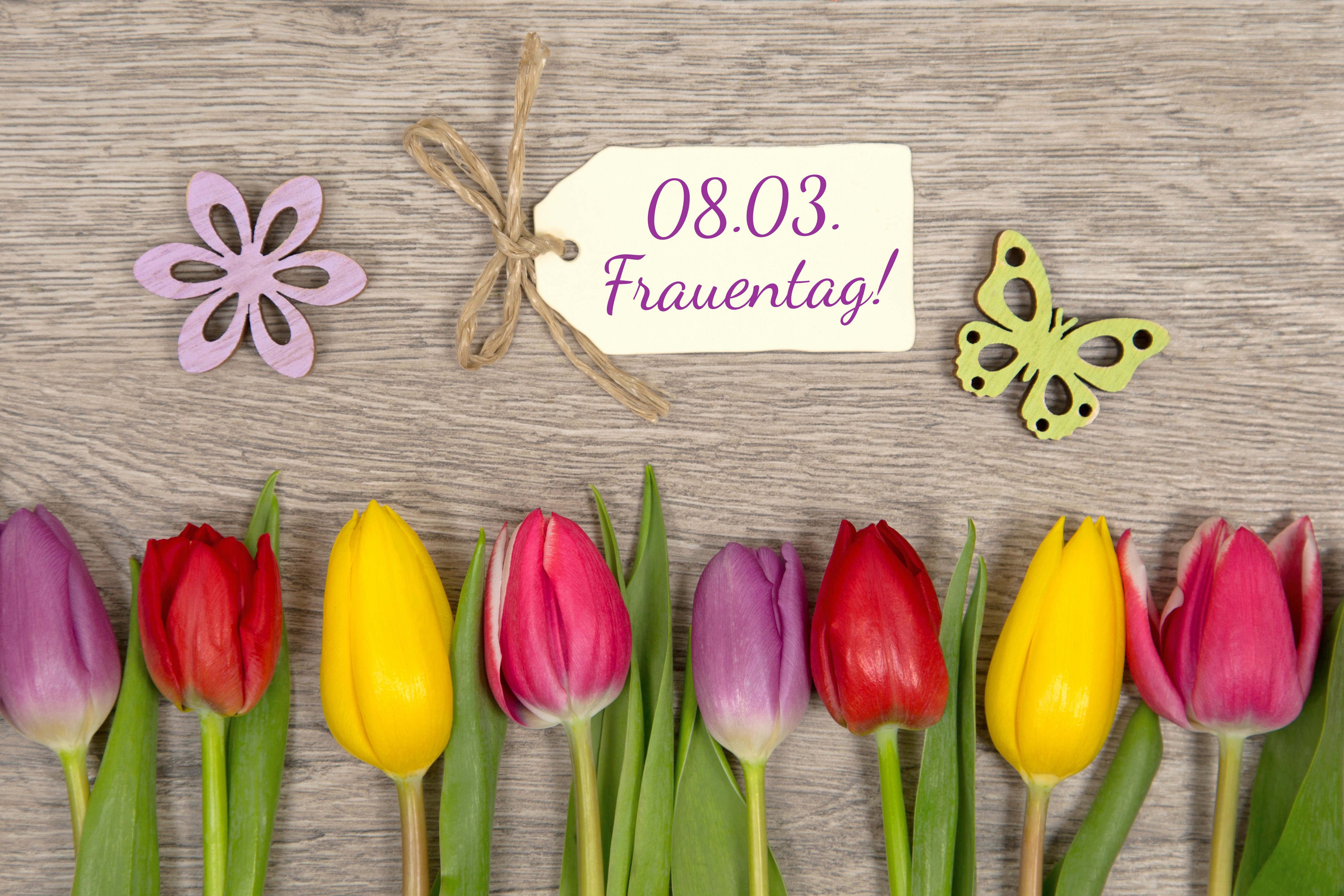 International Women's Day Tulips and Decorations HD Wallpaper