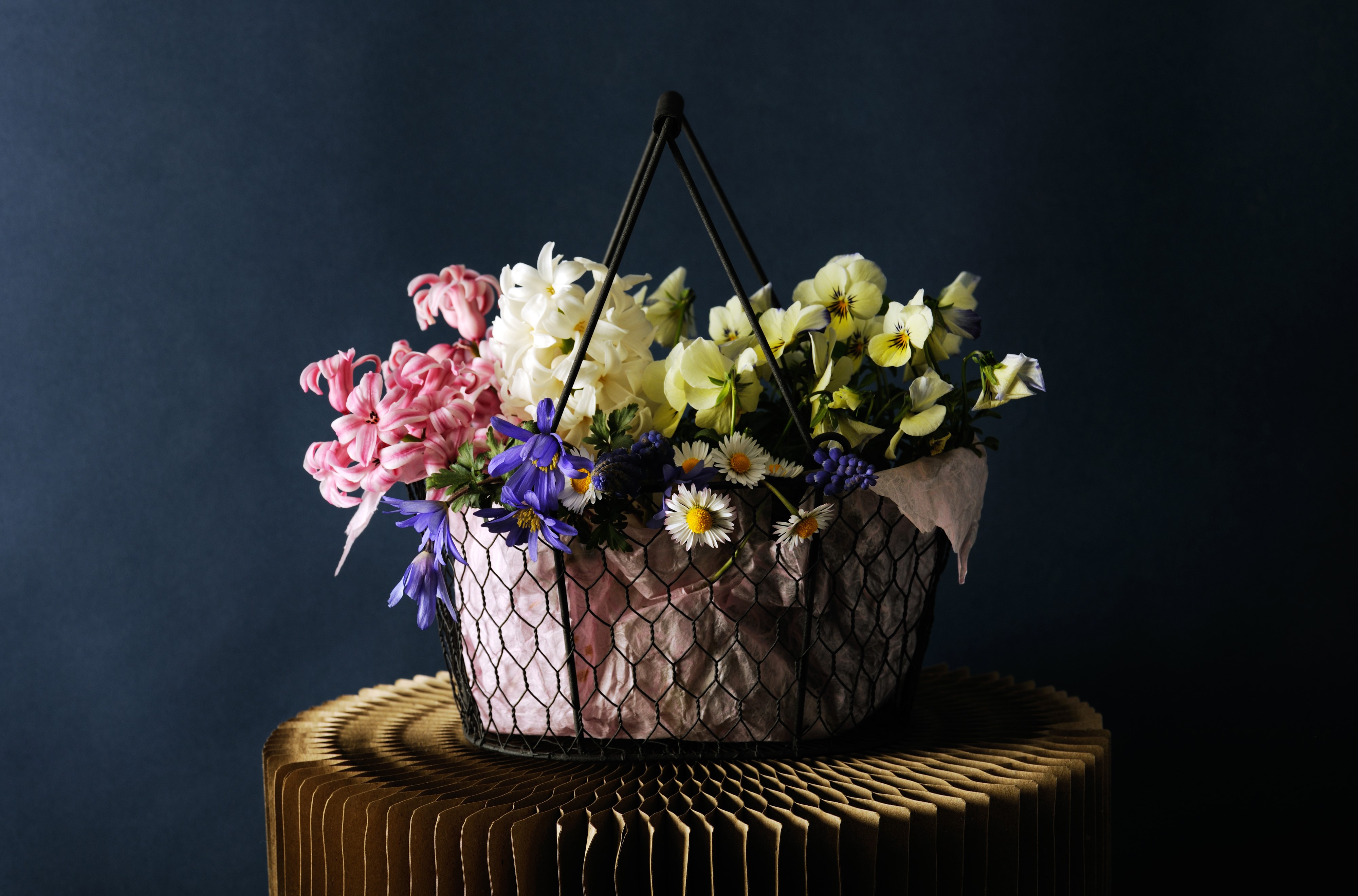 Basket of Hyacinths and Pansies HD Wallpaper