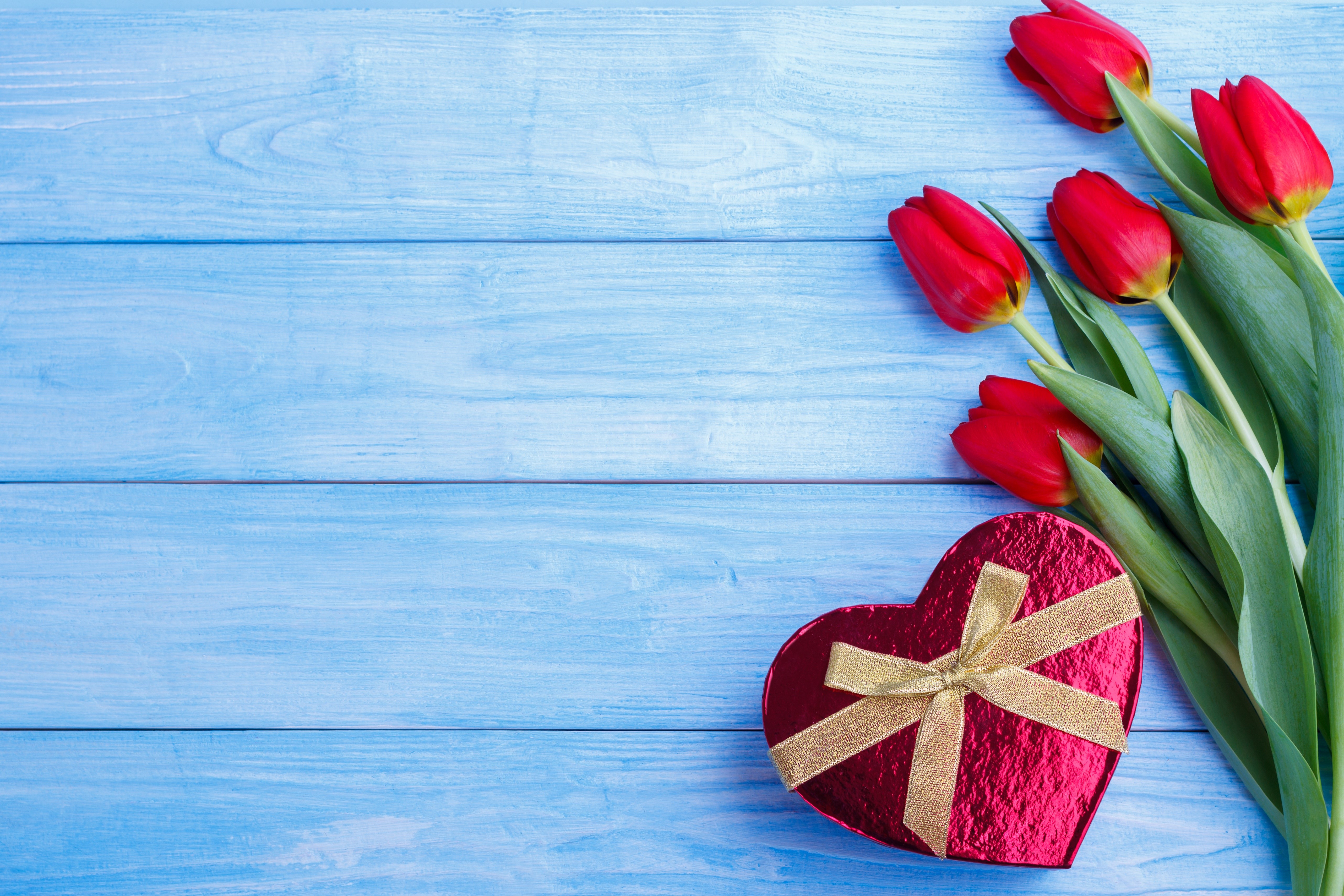 Red Tulips and Heart Gift Box on Blue Wood Planks HD Wallpaper