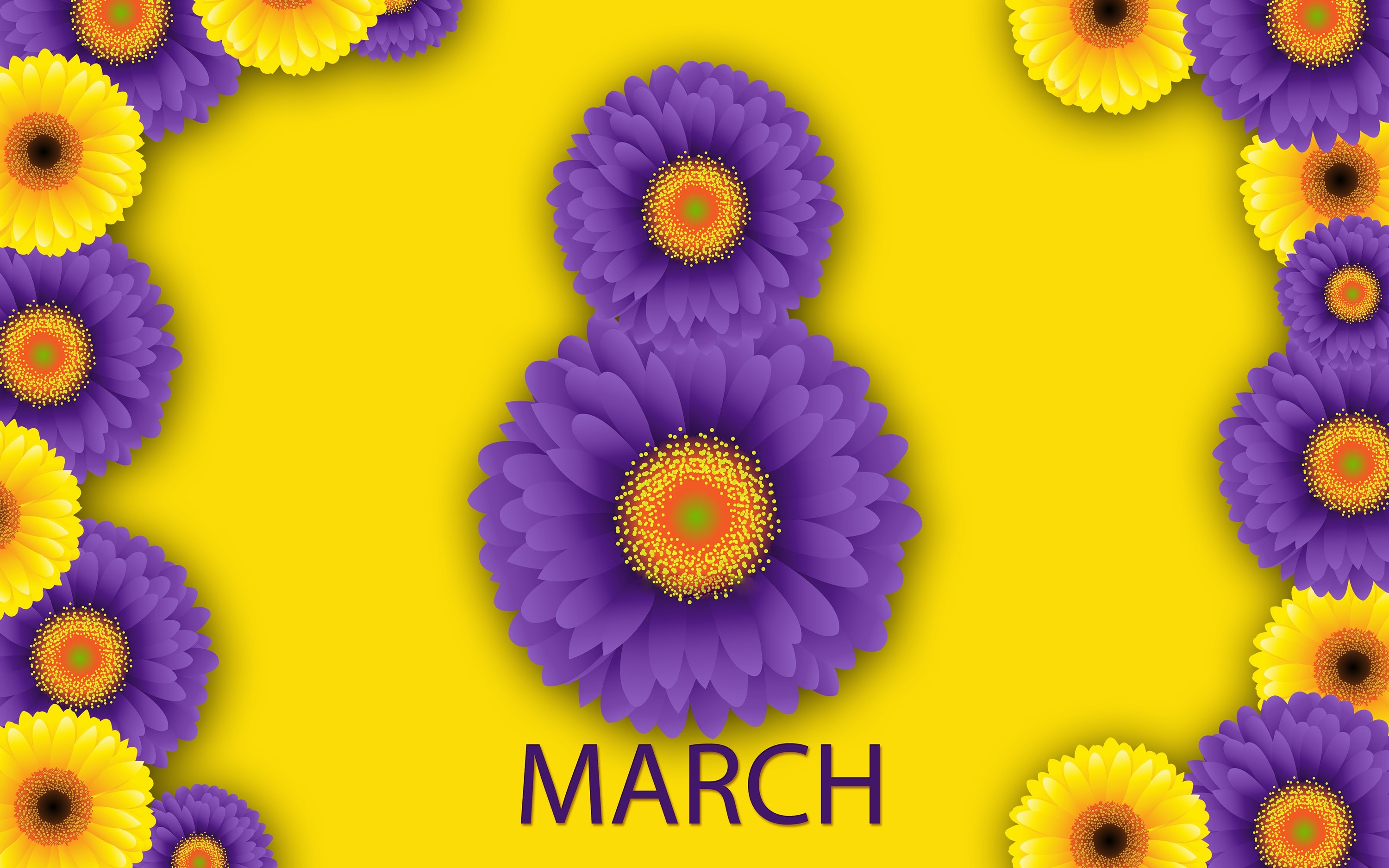 March 8th International Women's Day Gerberas HD Wallpaper