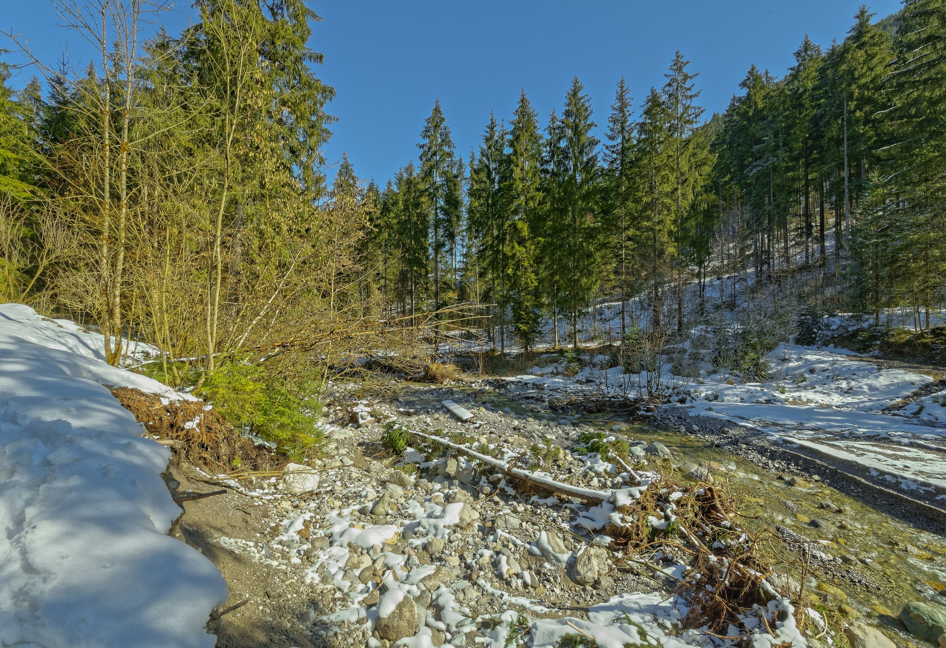 Winter forest landscape in Tyrol, Austria with snow HD Wallpaper