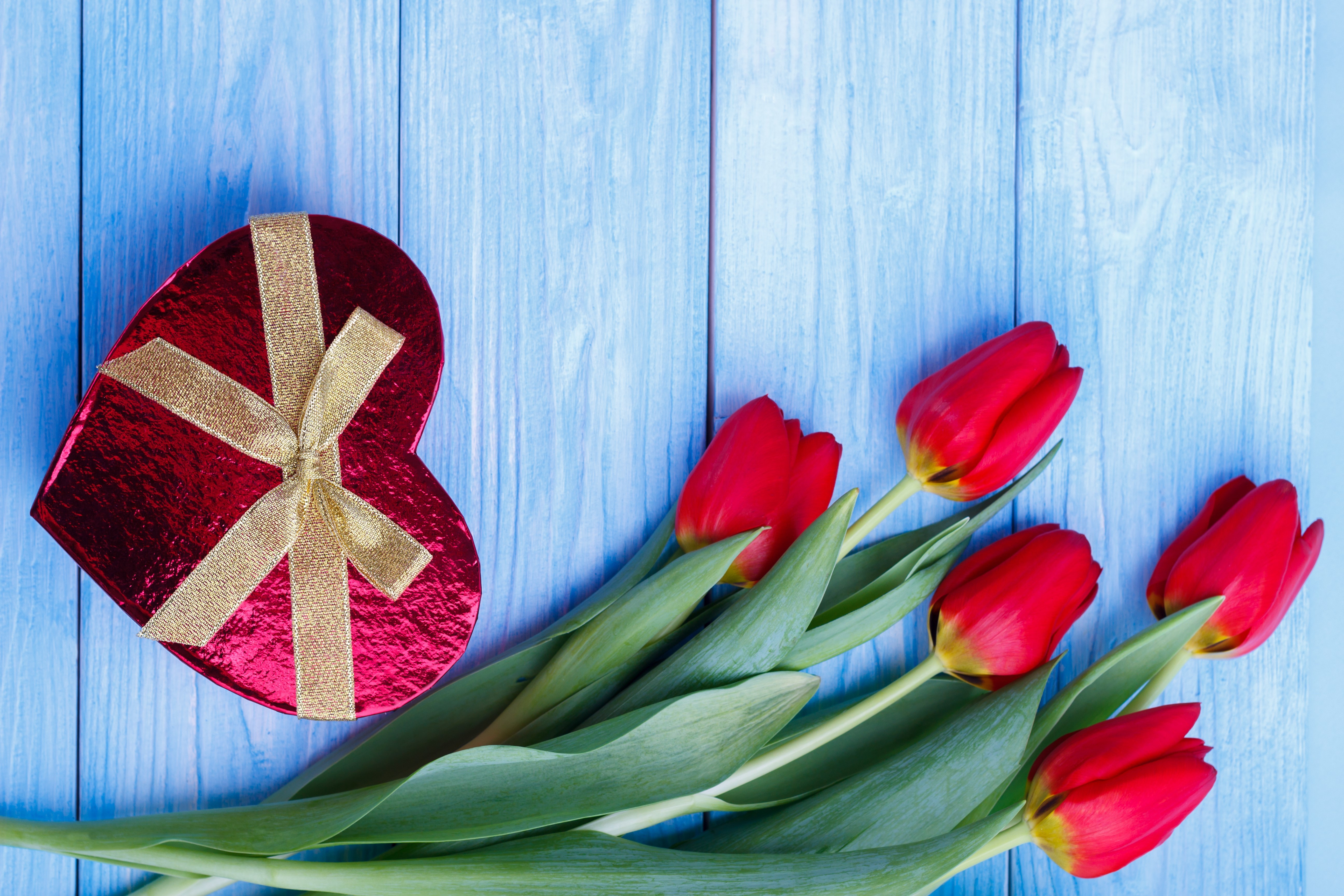 Red Heart Gift Box and Tulips on Blue Wood HD Wallpaper