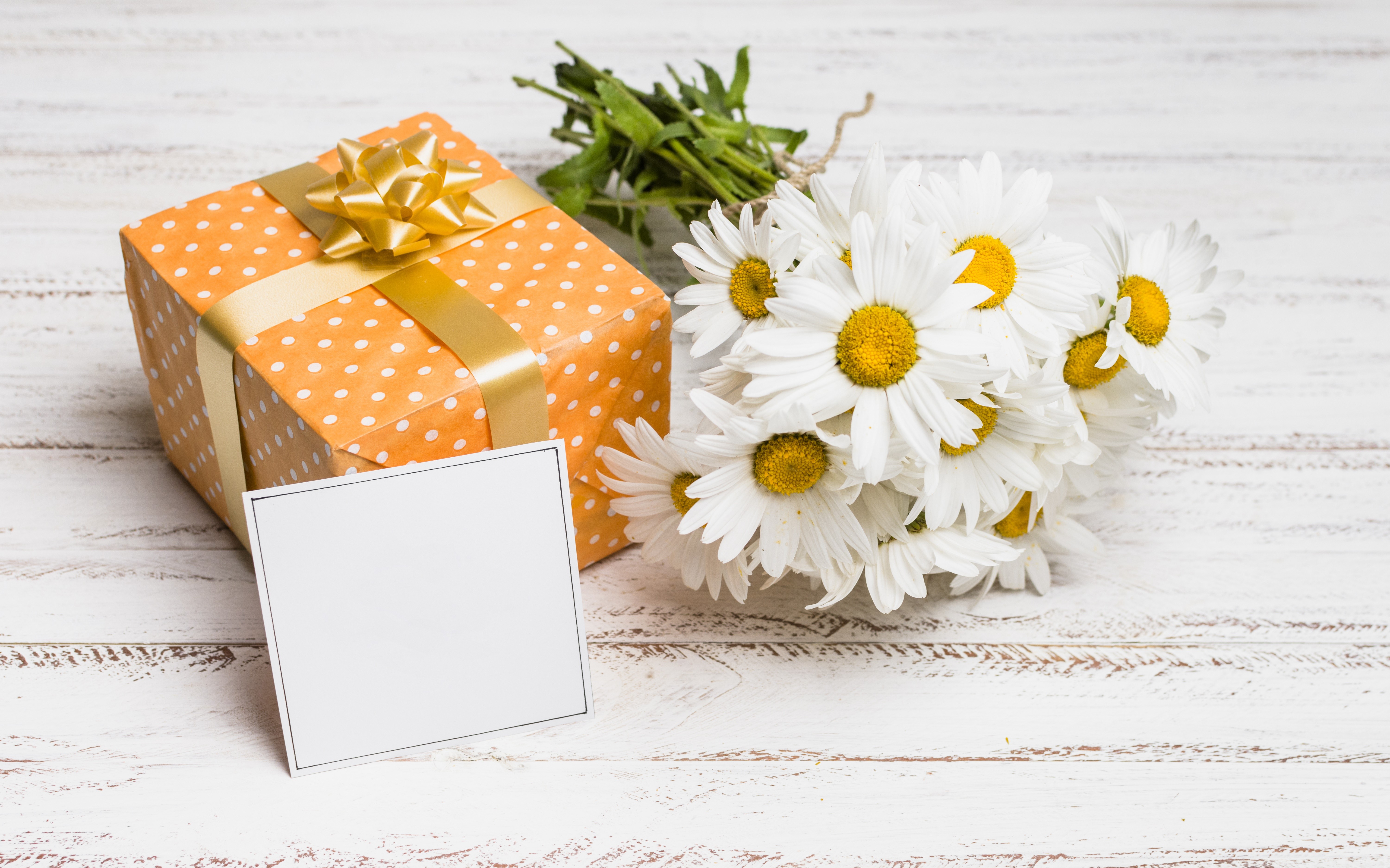 Gift box with daisies and greeting card HD Wallpaper