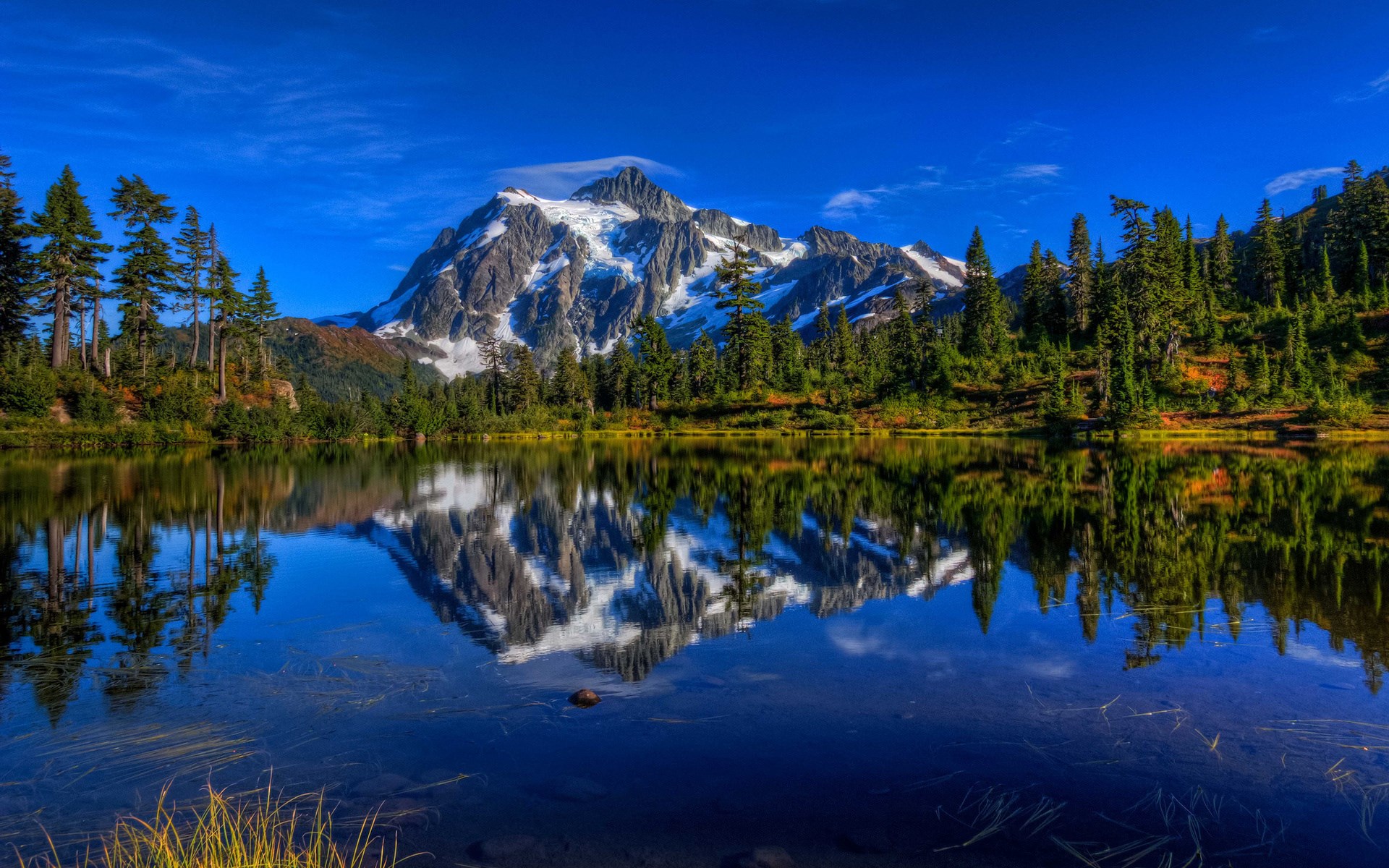 Snow-capped mountain reflected in a lake with pine trees HD Wallpaper