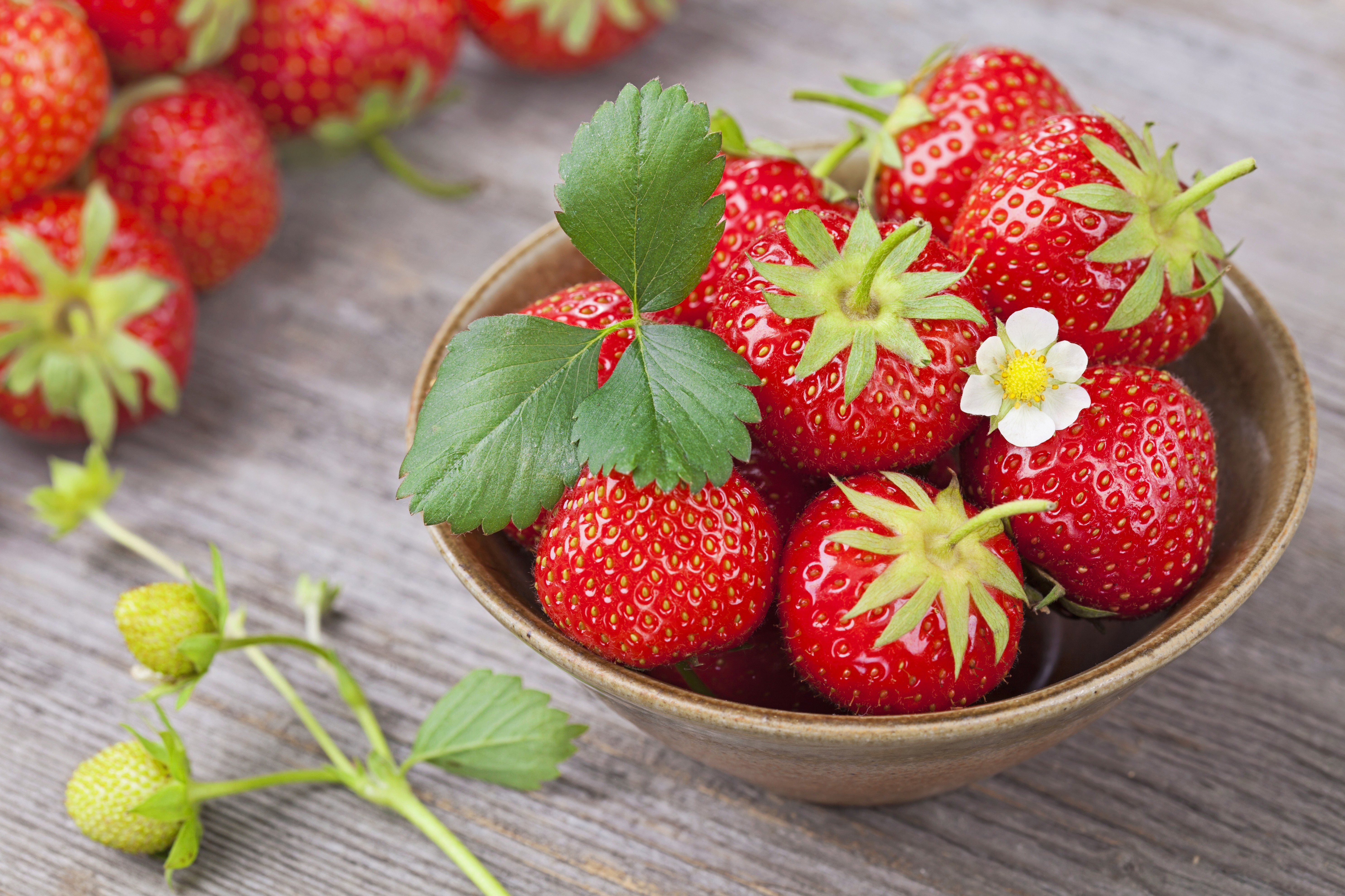 Strawberries in a bowl HD Wallpaper