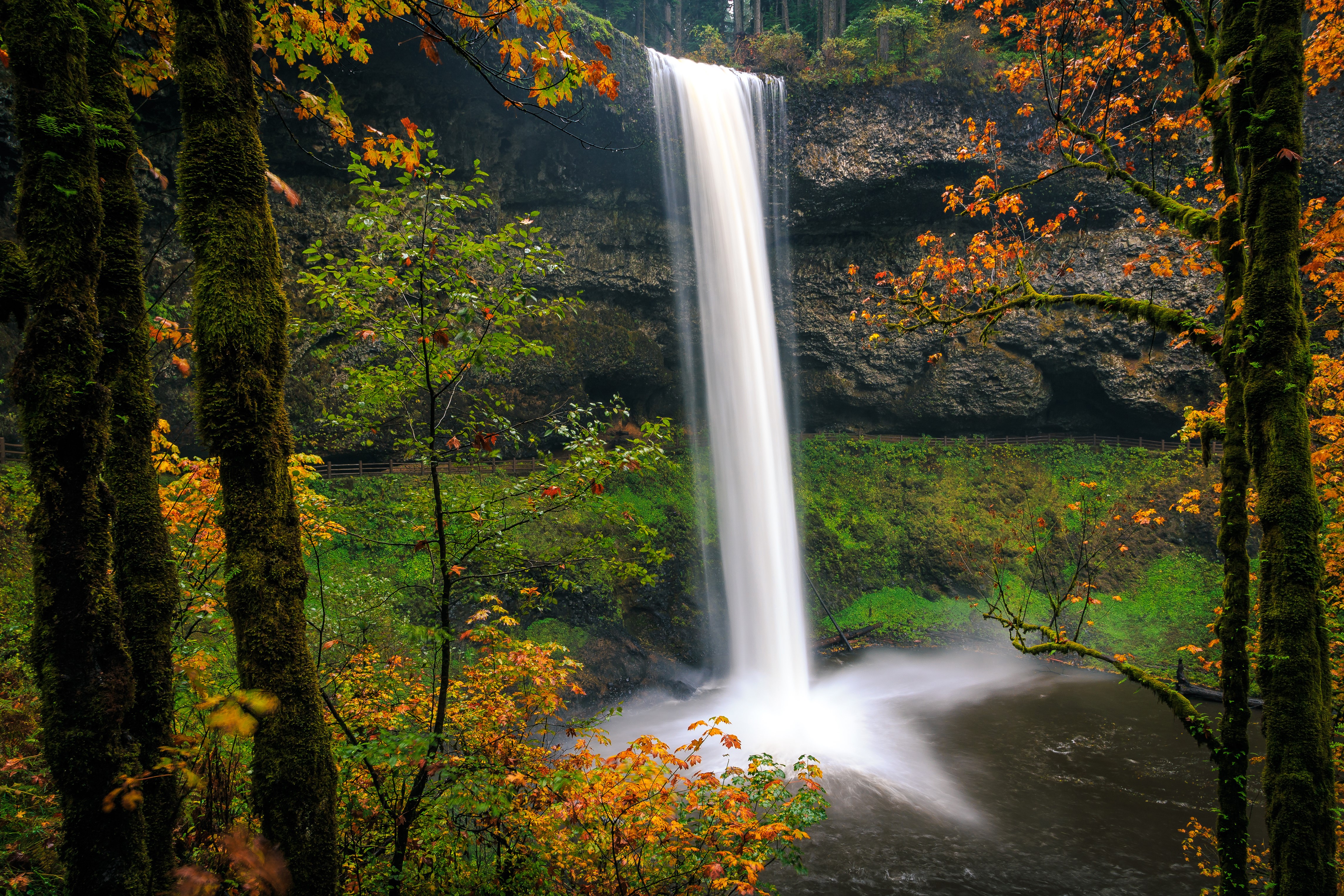Silver Falls State Park Oregon Waterfall in Autumn HD Wallpaper