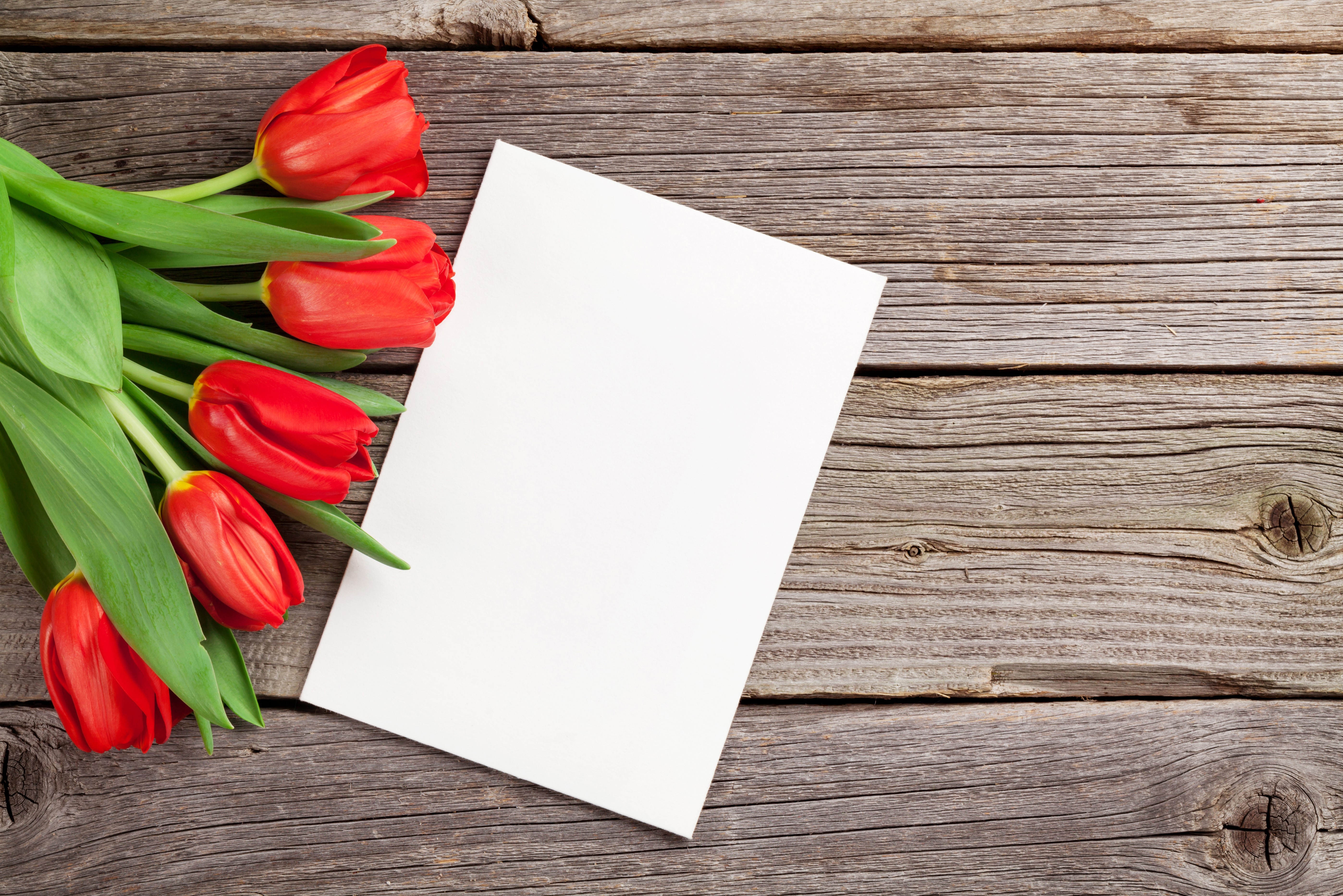 Red tulips and blank paper on wood planks HD Wallpaper