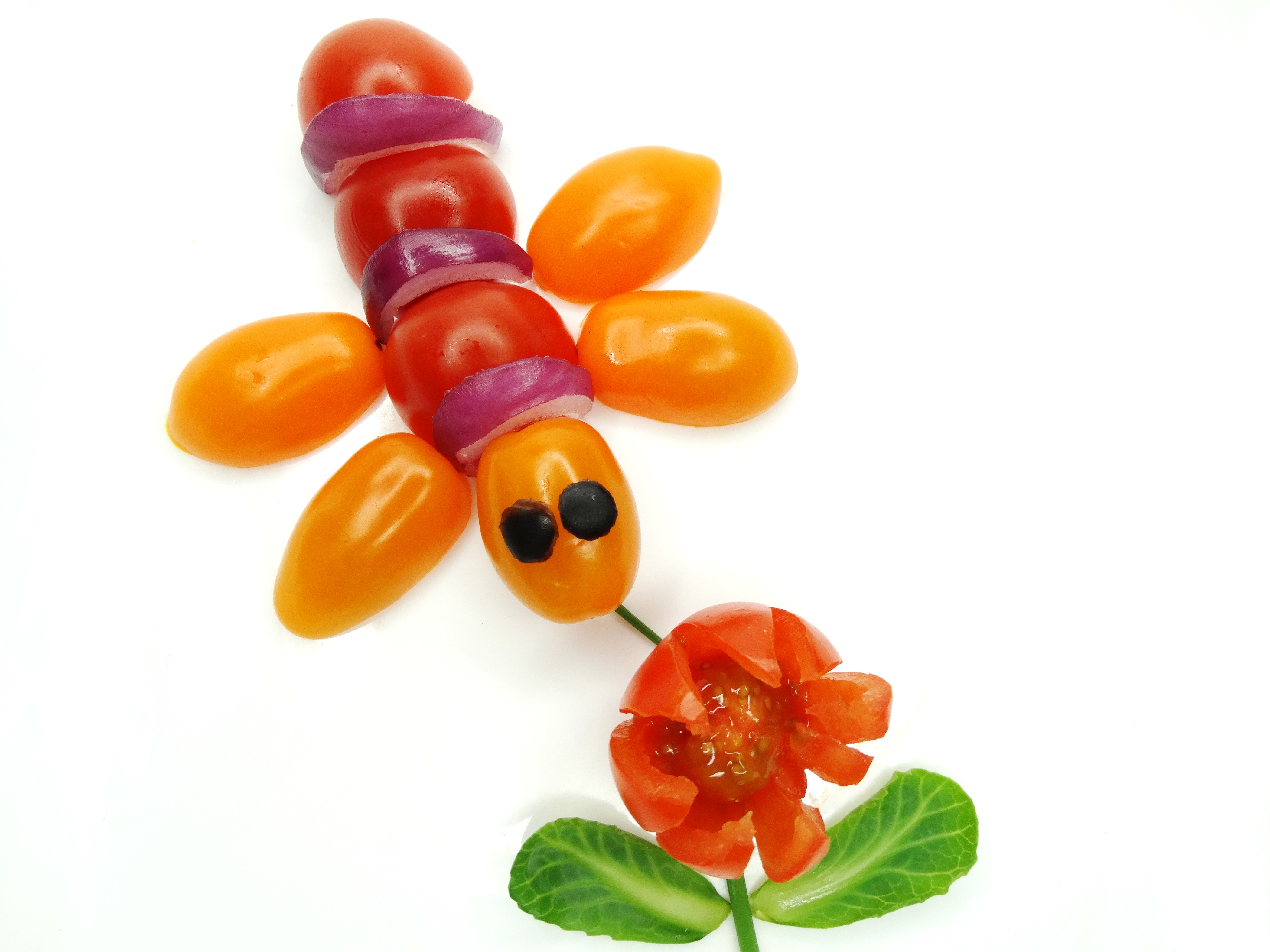 Creative tomato and onion bee on white background HD Wallpaper