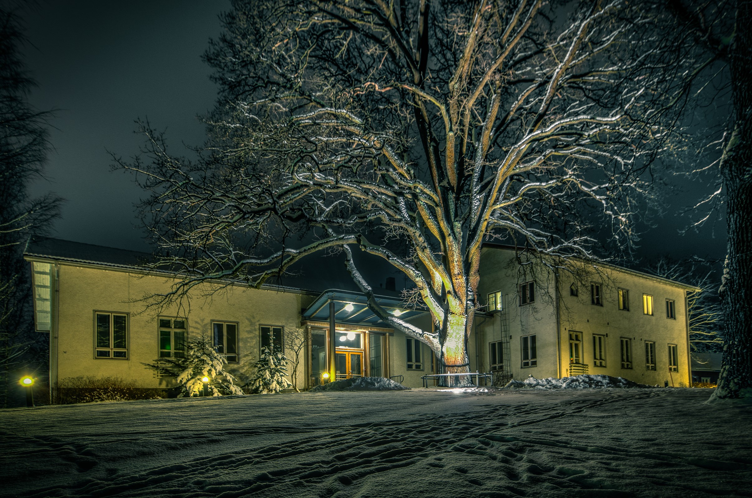 House at night in winter with snow and trees in Karkkila, Finland HD Wallpaper