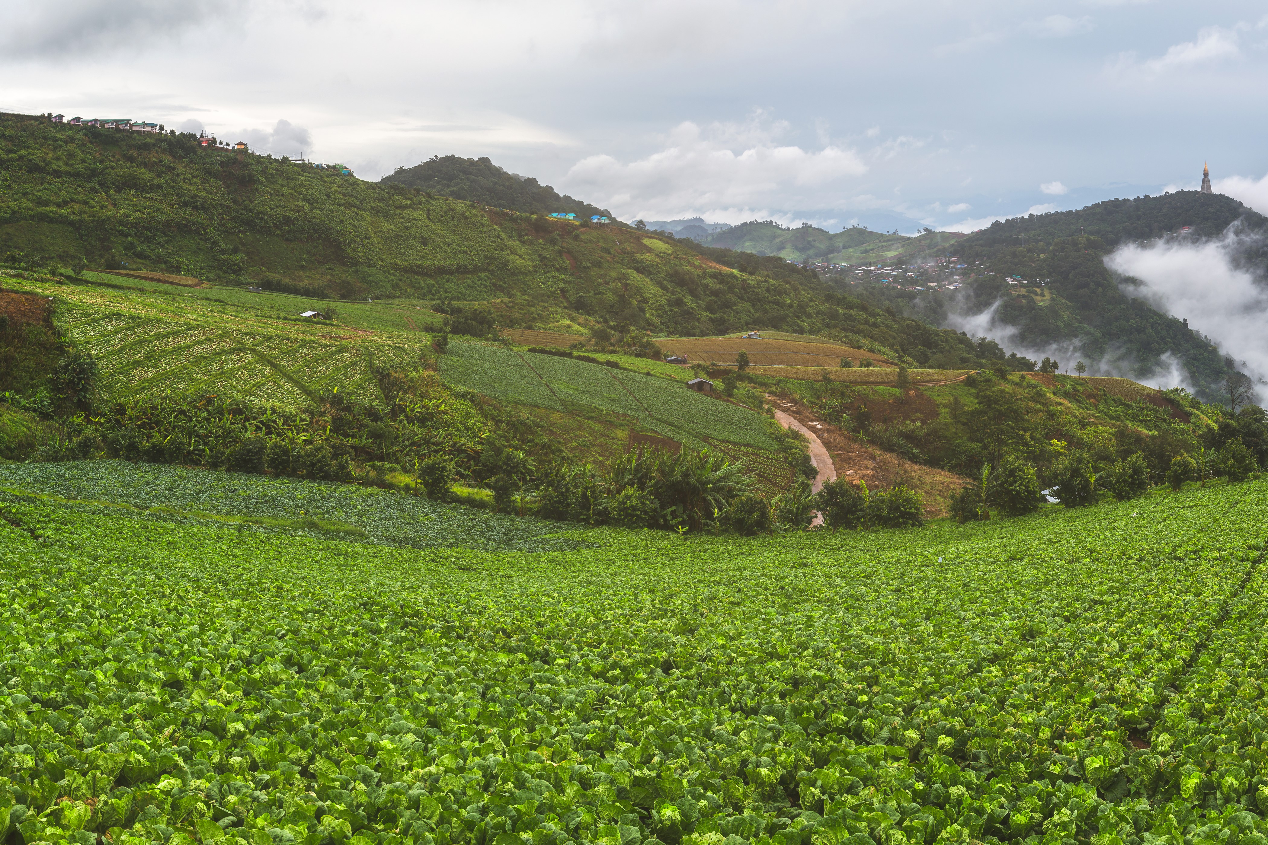 4K Mu Cang Chai Vietnam Fields Hill HD Wallpaper