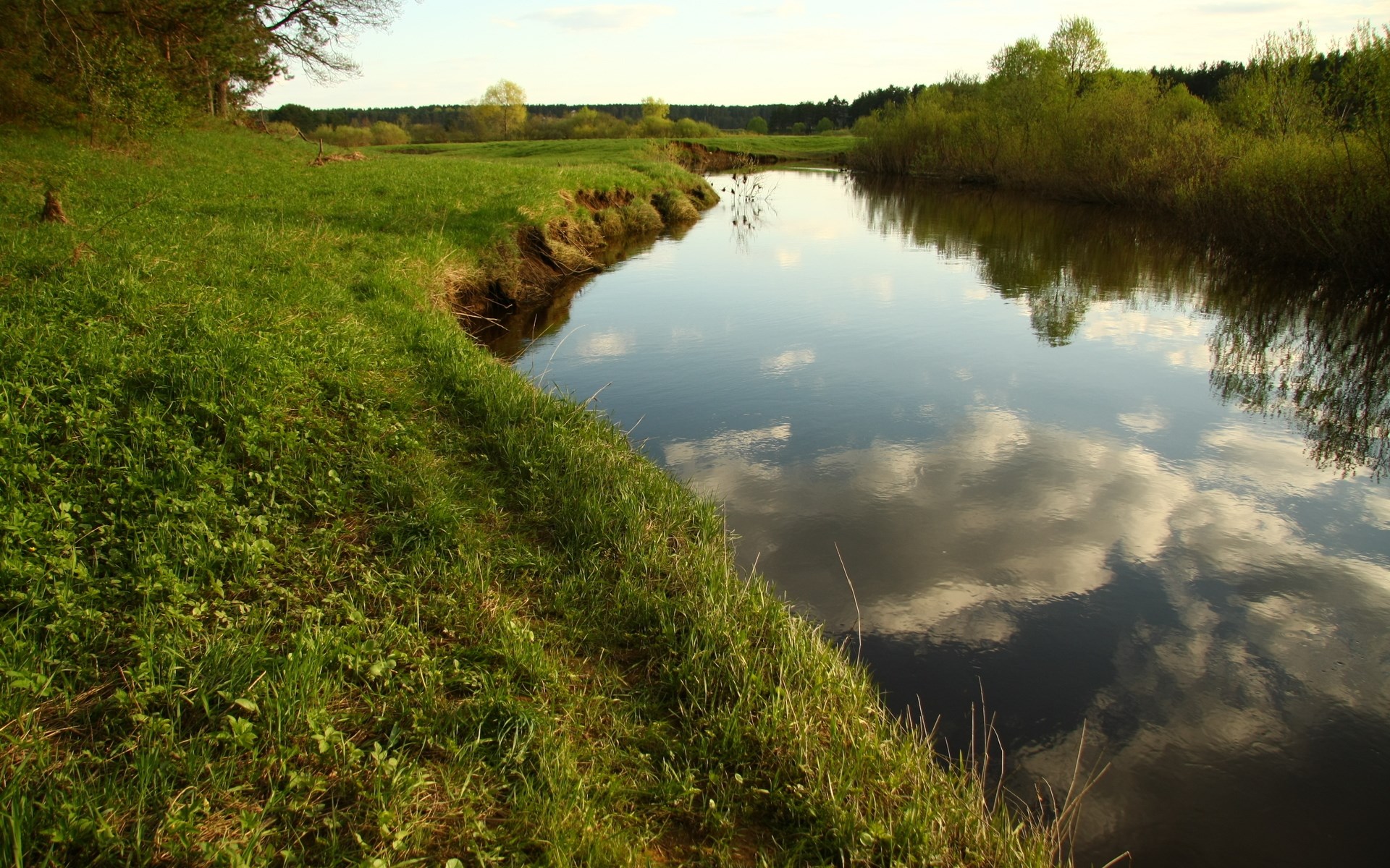 A winding river flows through a green meadow with trees in the background HD Wallpaper