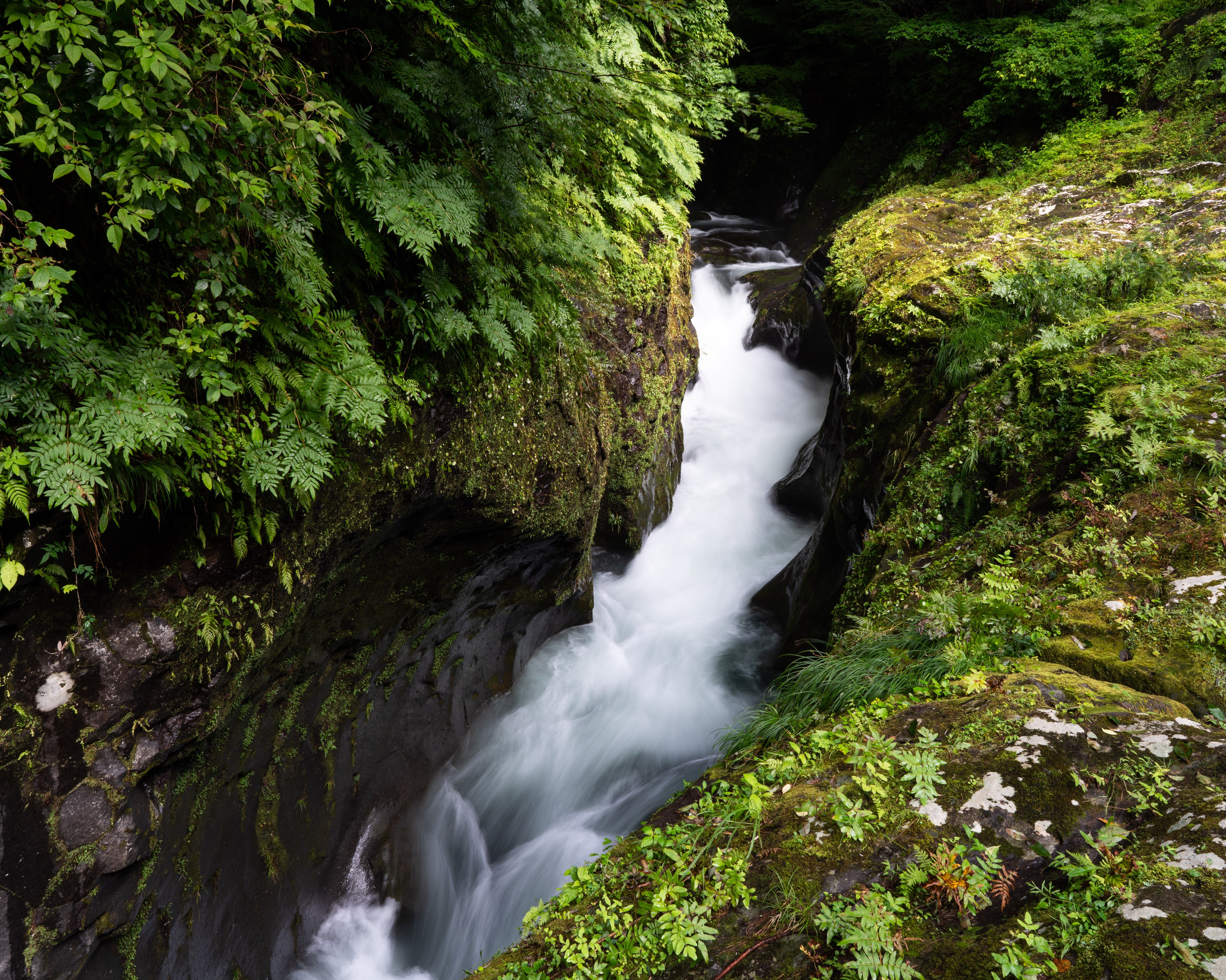 Takachiho Gorge, Japan, Waterfalls, Moss HD Wallpaper