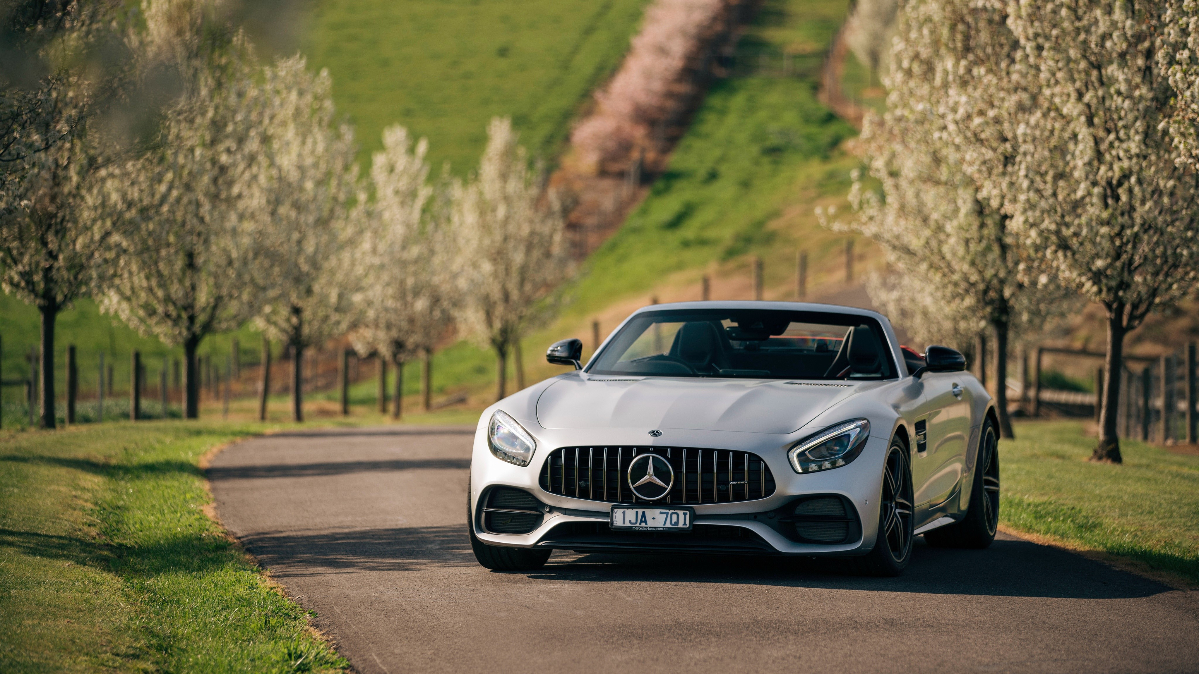 Mercedes-Benz AMG GT C Roadster HD Wallpaper