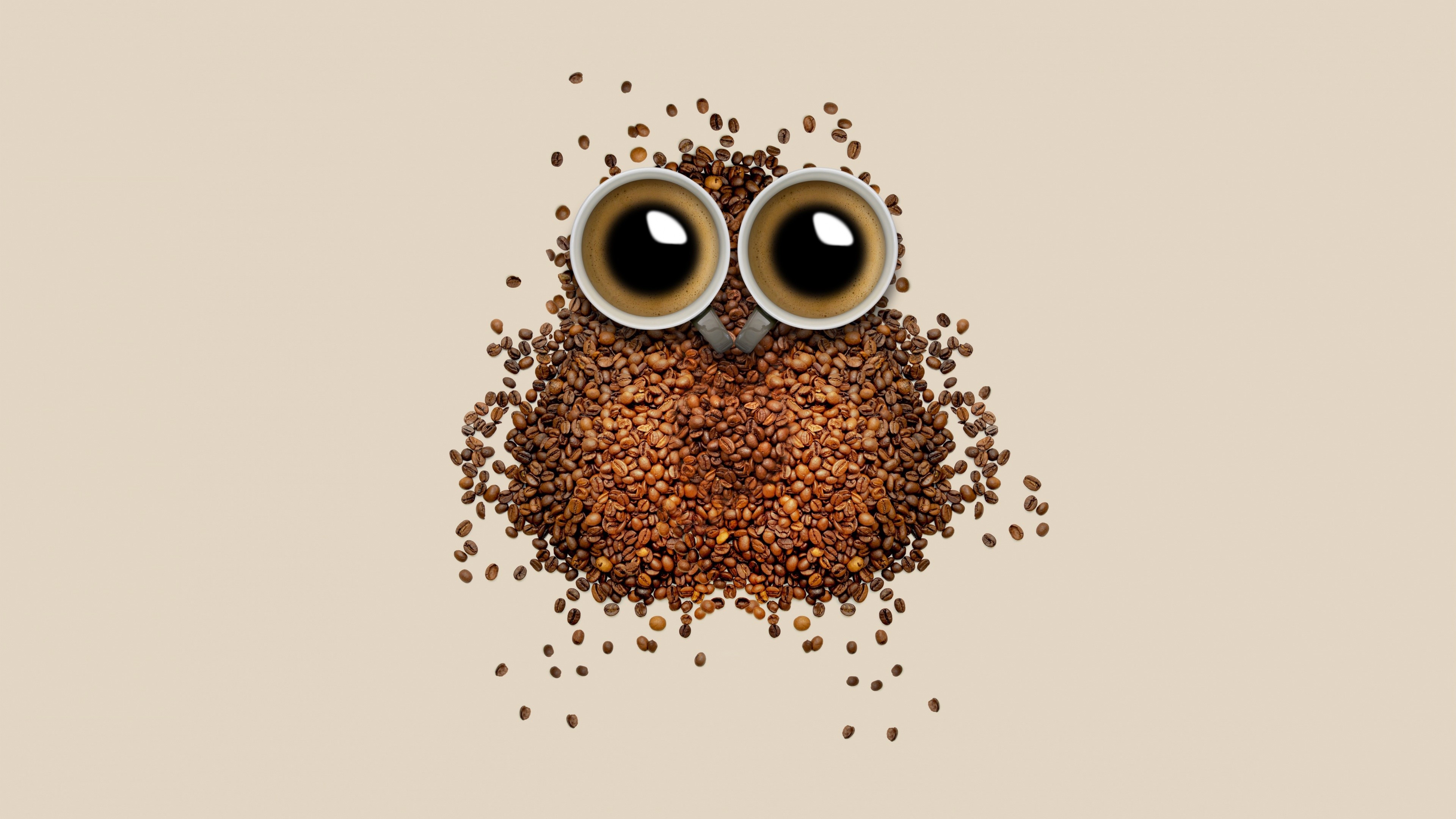 Creative Owl made of Coffee Beans and Cups HD Wallpaper