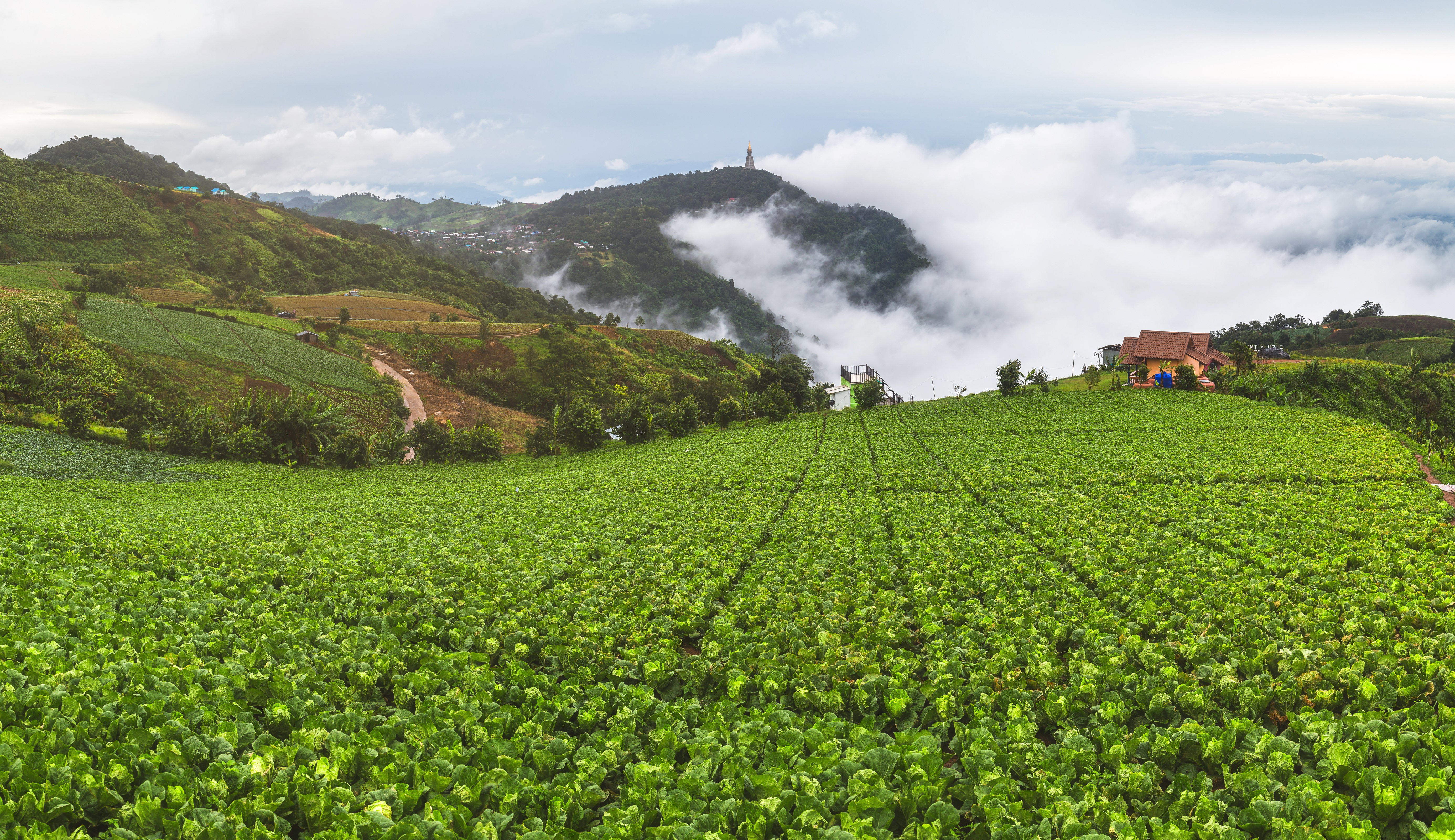 Terraced Fields and Houses on a Misty Hillside in Vietnam HD Wallpaper
