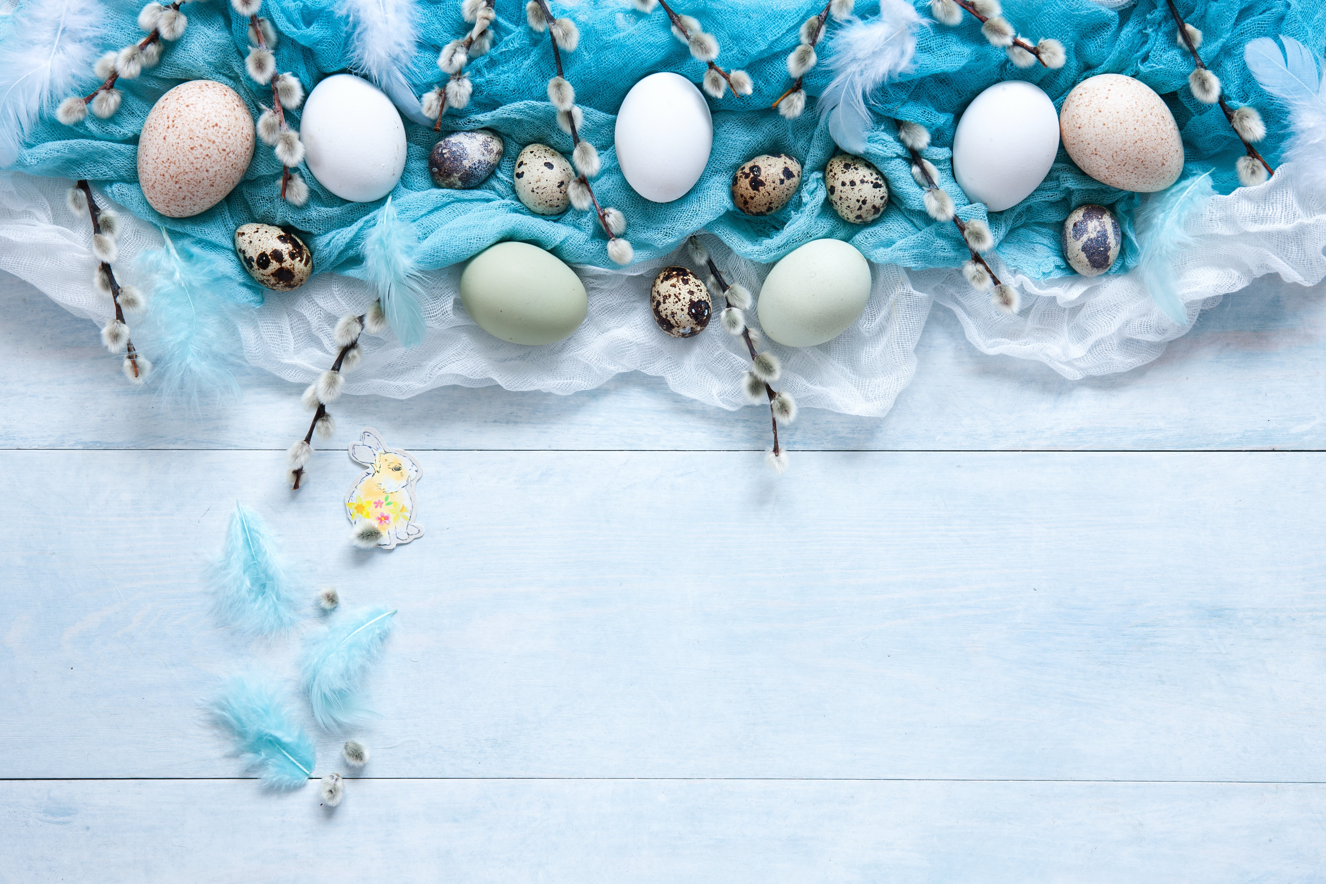 Easter Eggs and Pussy Willows HD Wallpaper