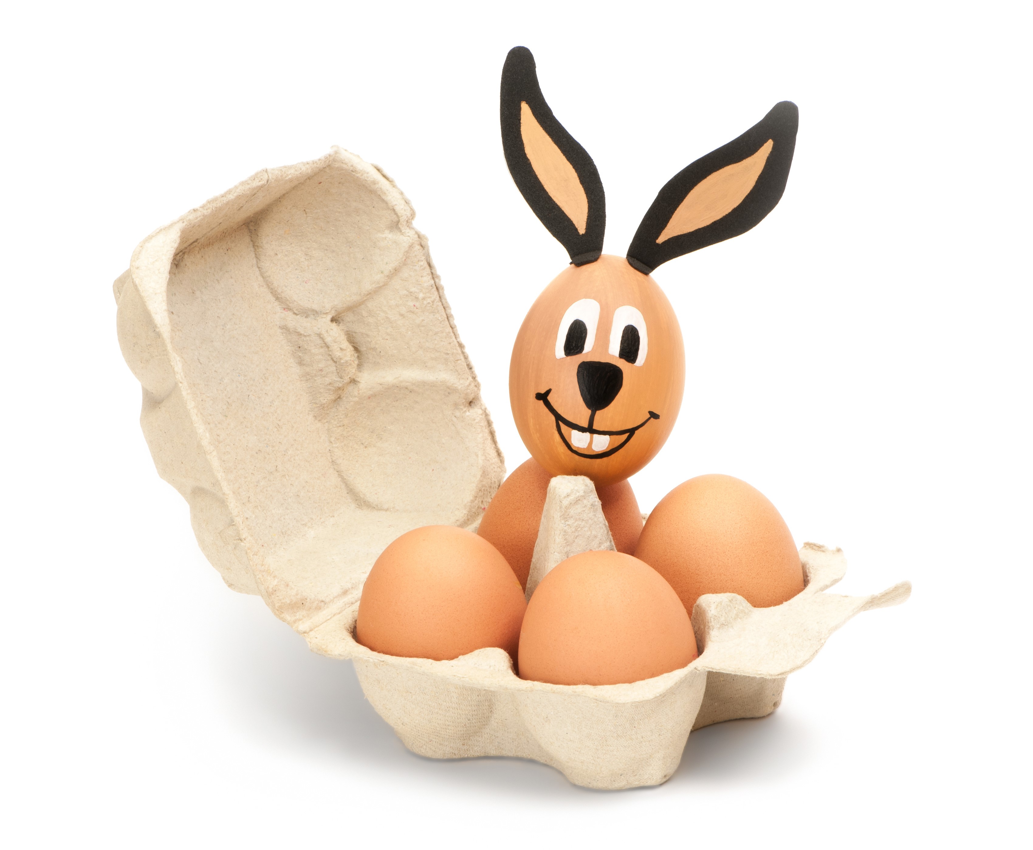 Easter bunny egg decoration in egg carton HD Wallpaper