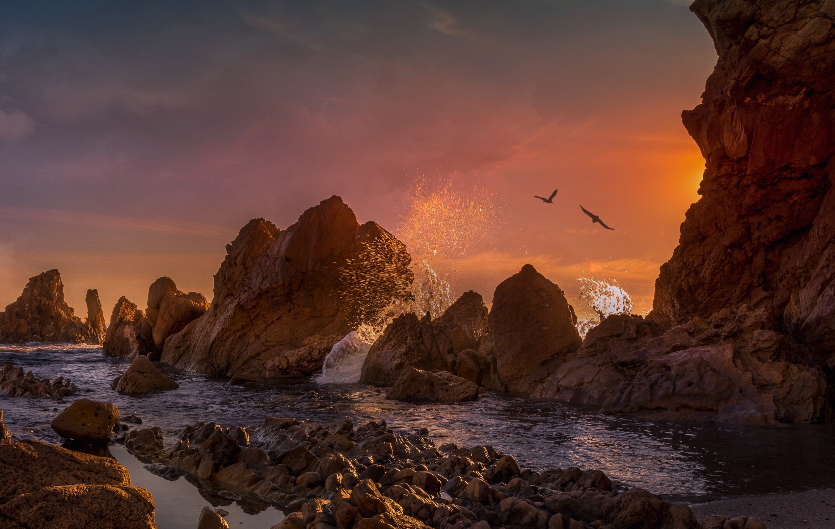 Sunset over rocky coast with crashing waves and birds HD Wallpaper