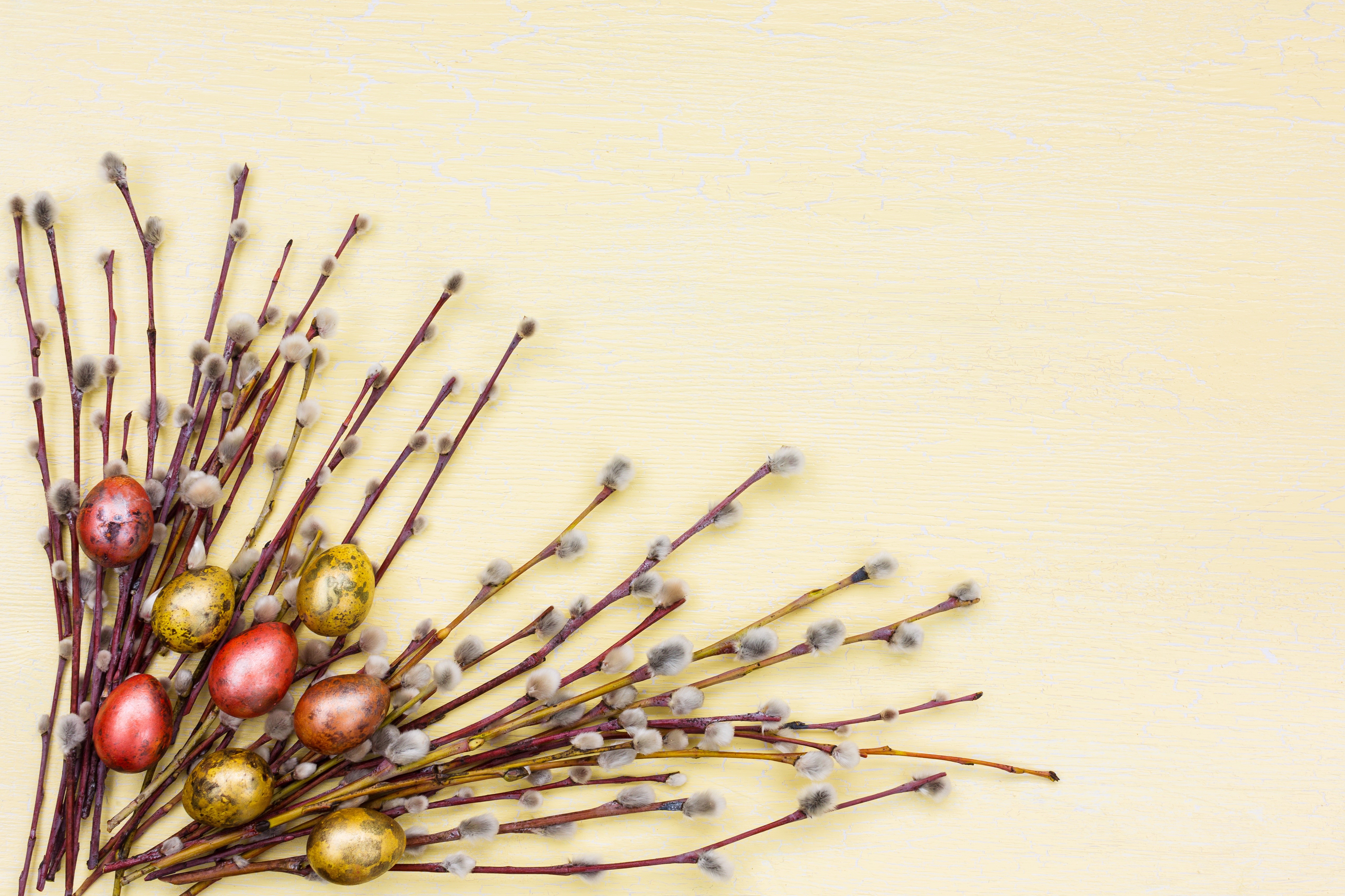 Easter pussy willow branches with decorated eggs HD Wallpaper