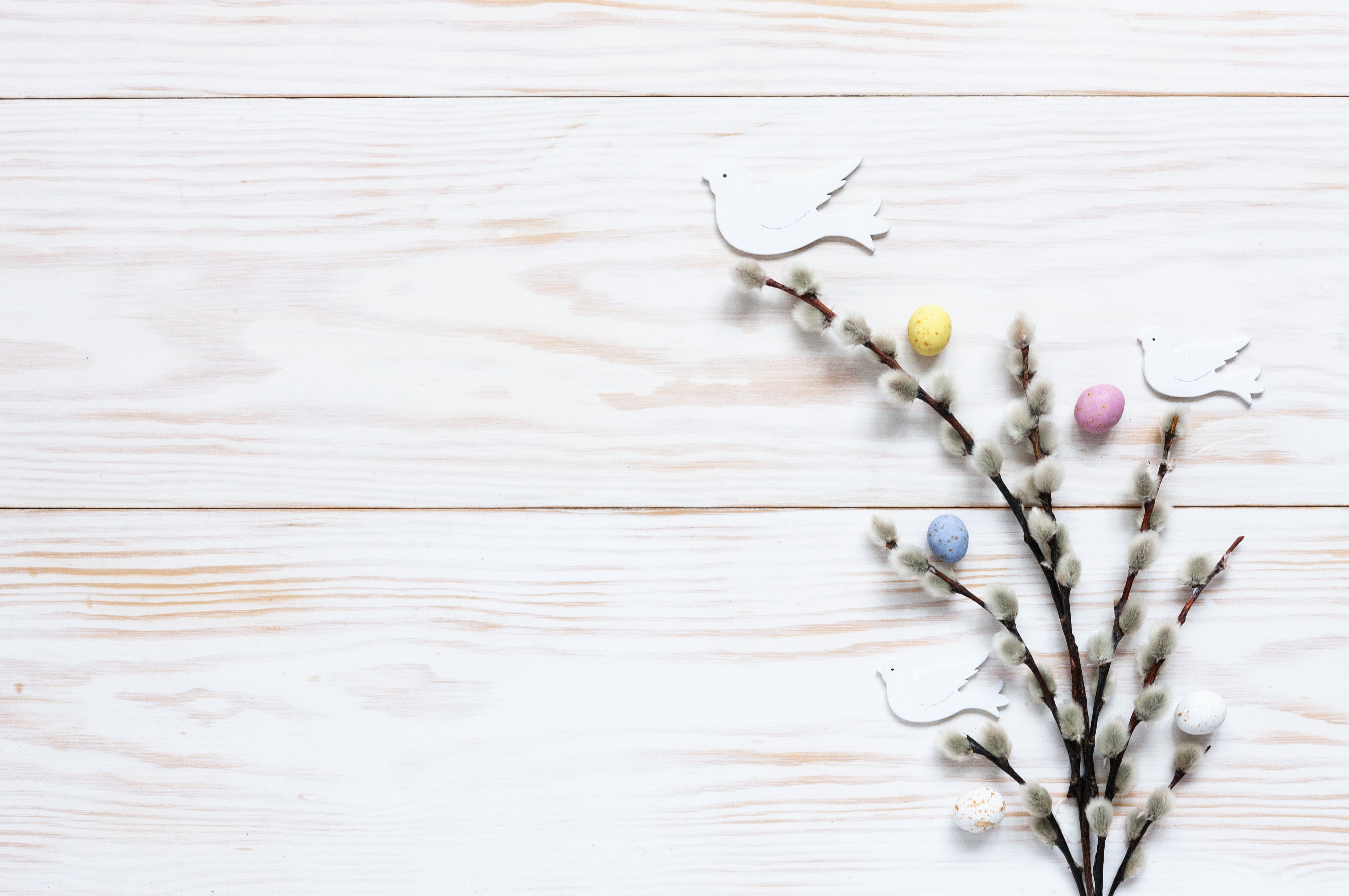 Easter pussy willow branches with eggs and doves HD Wallpaper