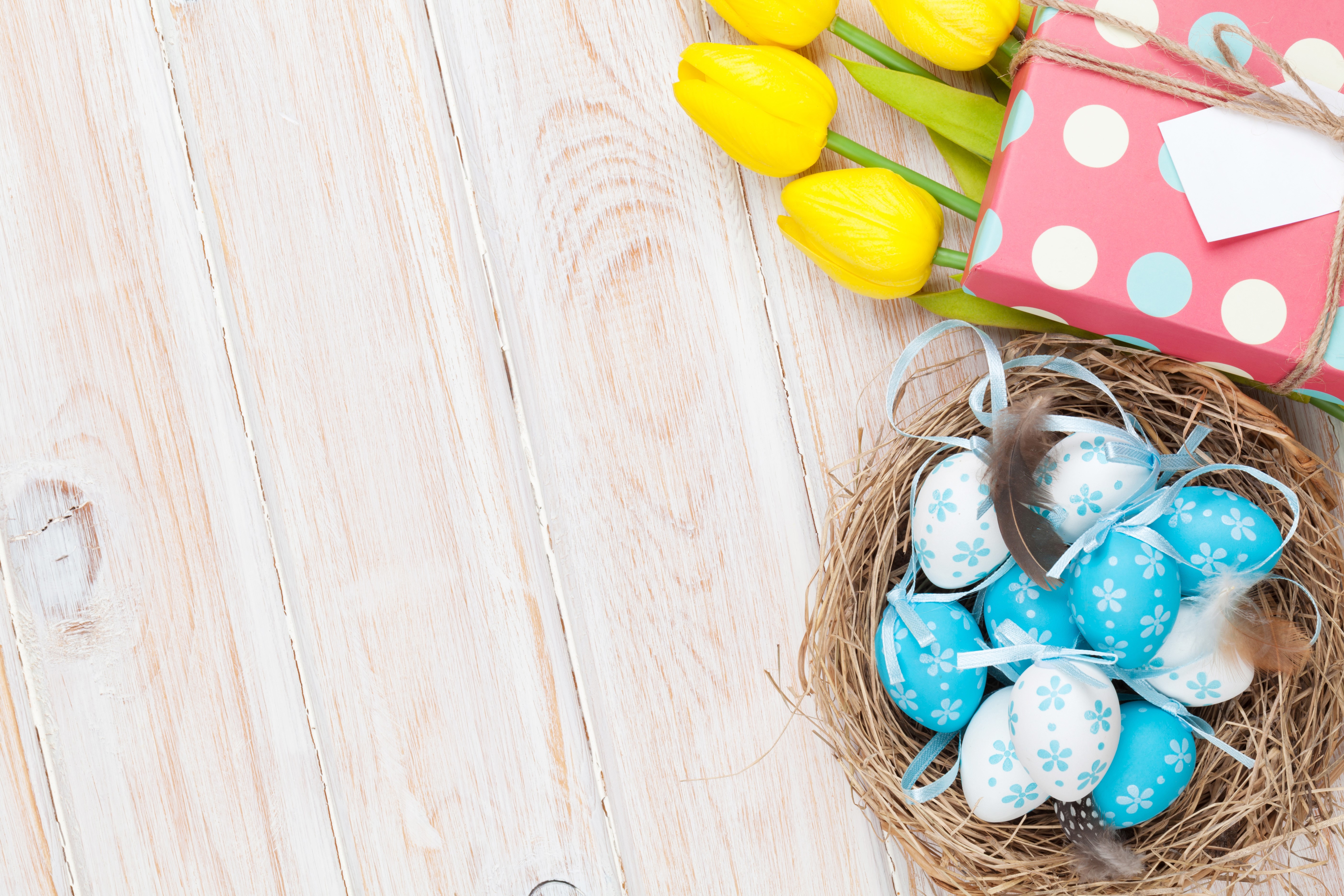 Easter nest with eggs, tulips, and gift on wood planks HD Wallpaper