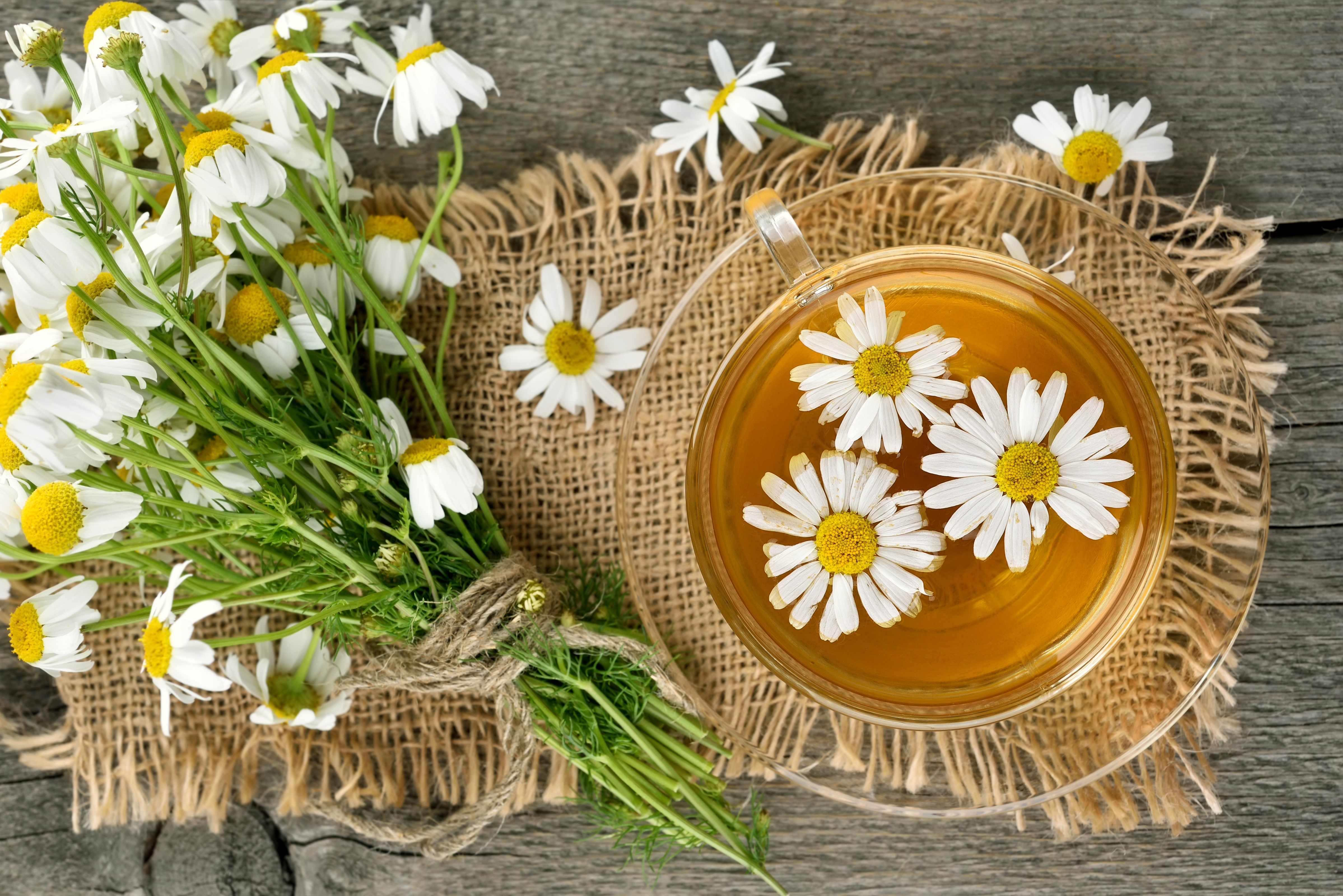 4K Tea with Camomiles in a Cup HD Wallpaper