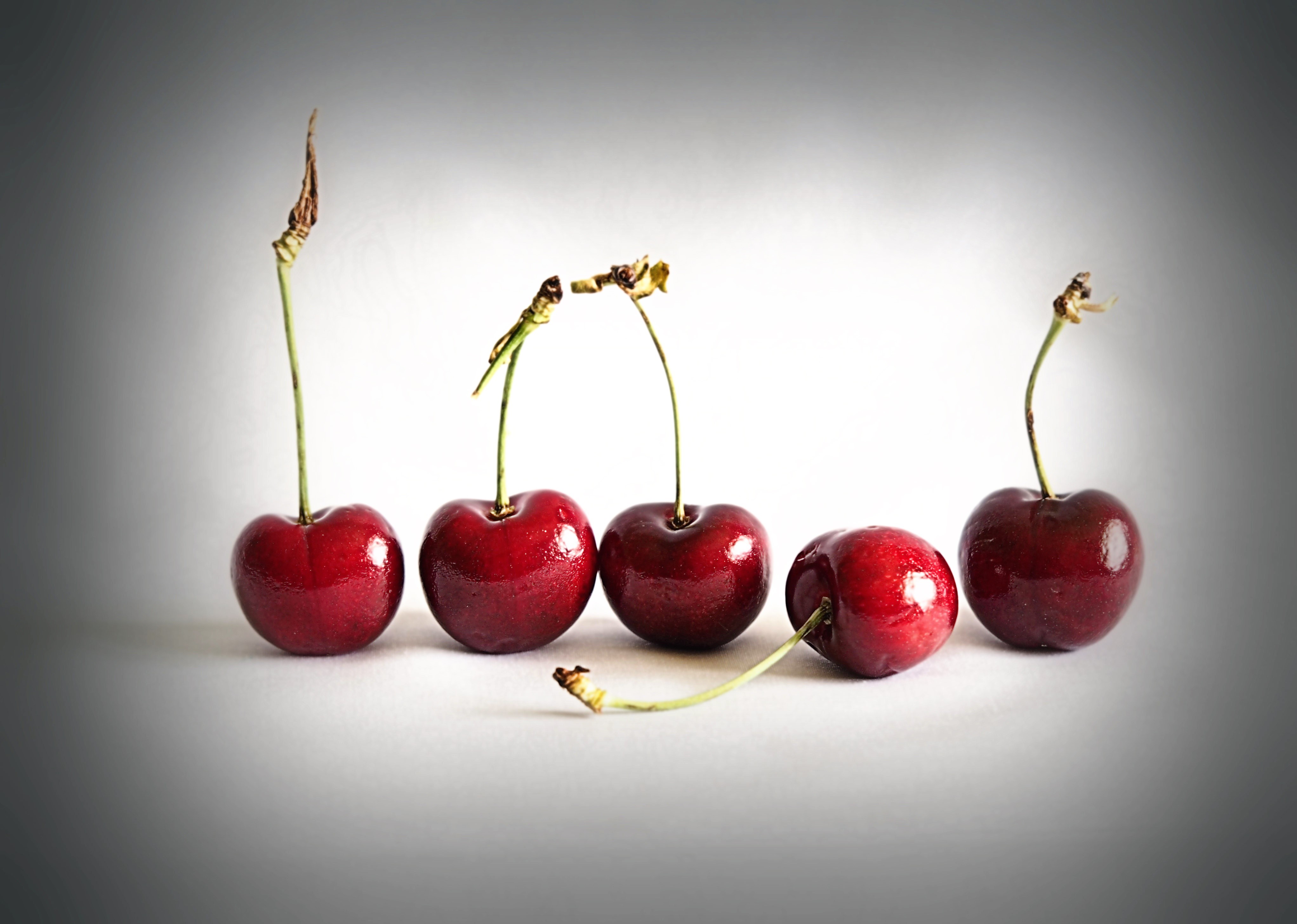 Five Cherries with Stems HD Wallpaper