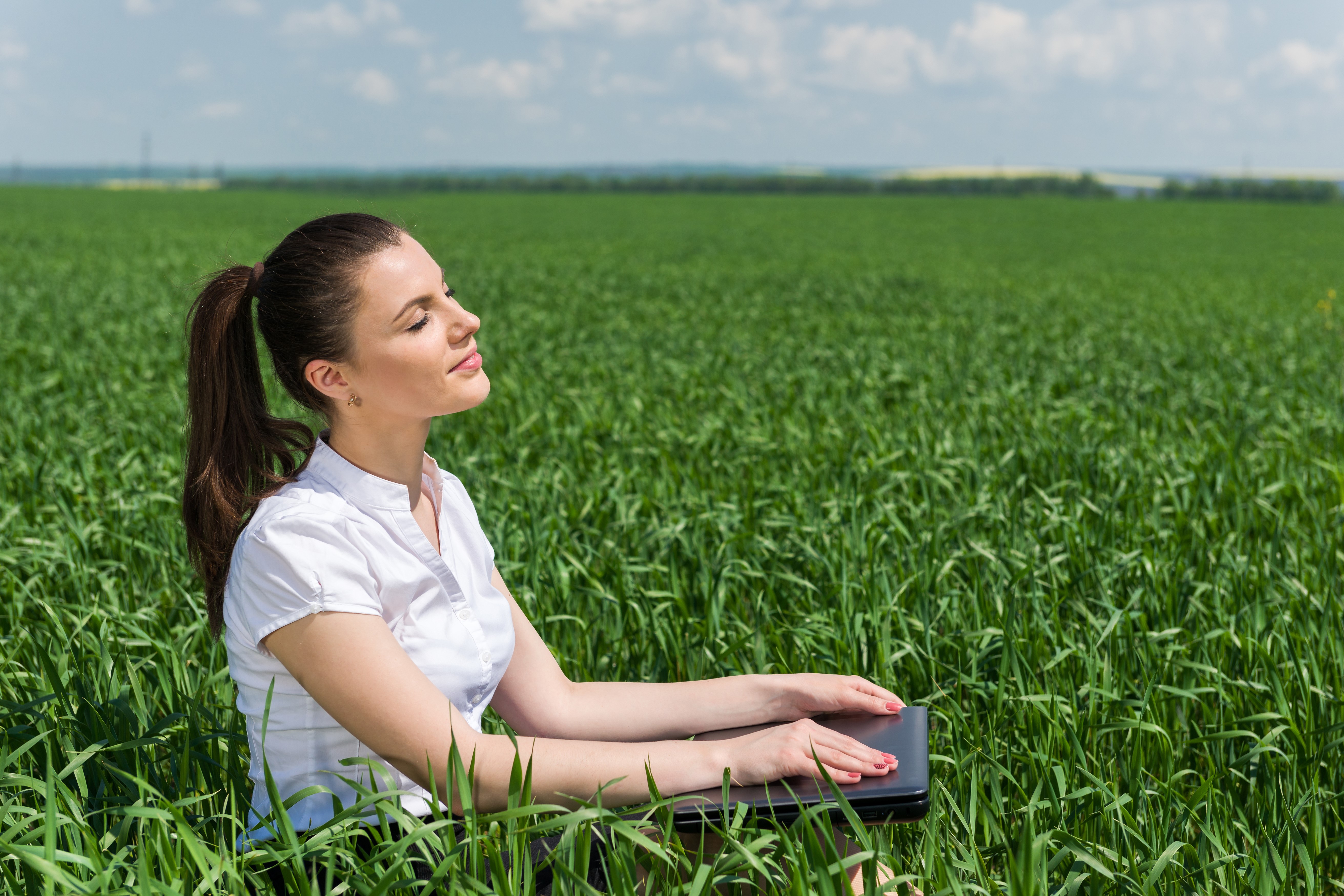 Woman with laptop in a field HD Wallpaper