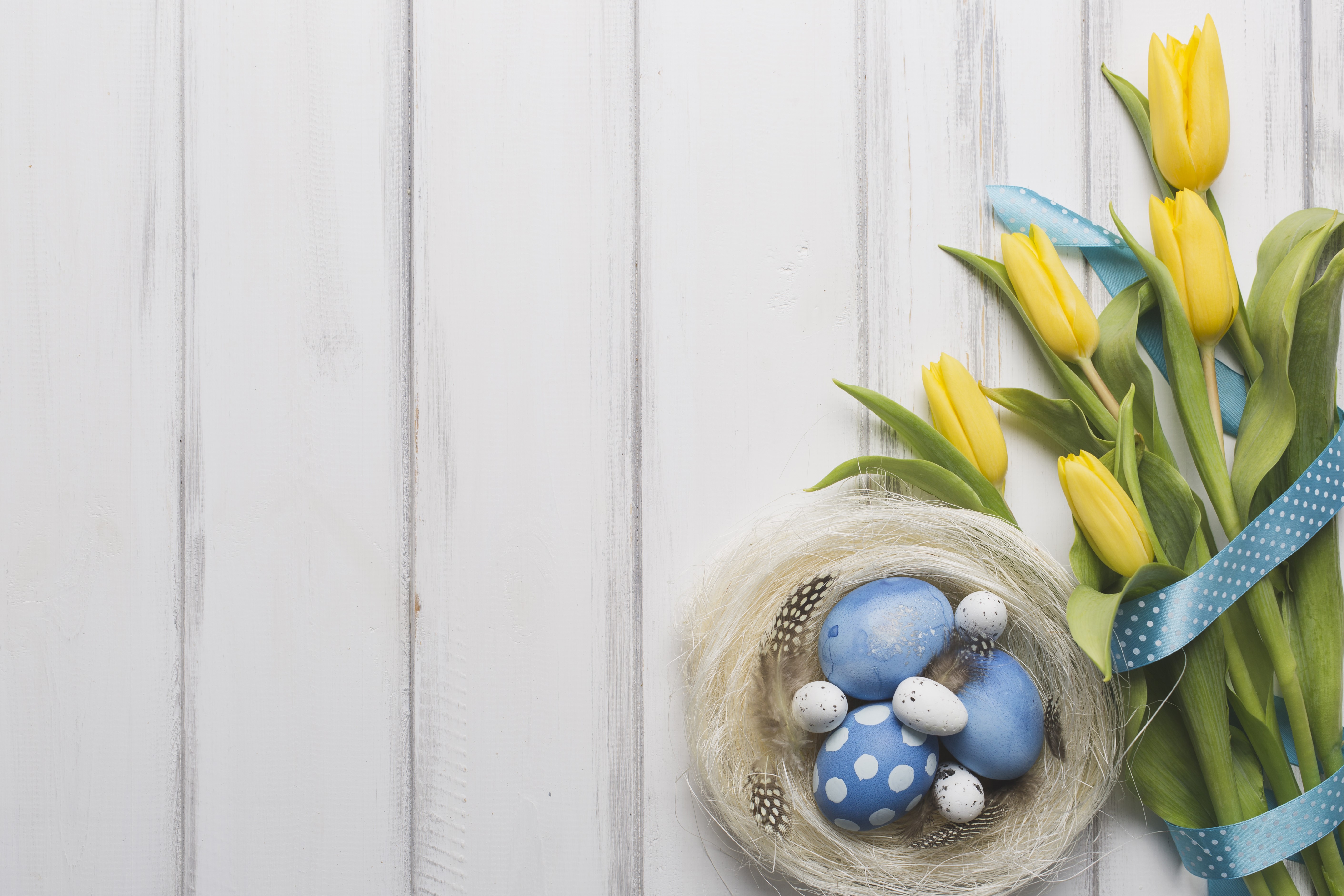 Easter eggs in a nest with yellow tulips and ribbon on wood planks HD Wallpaper