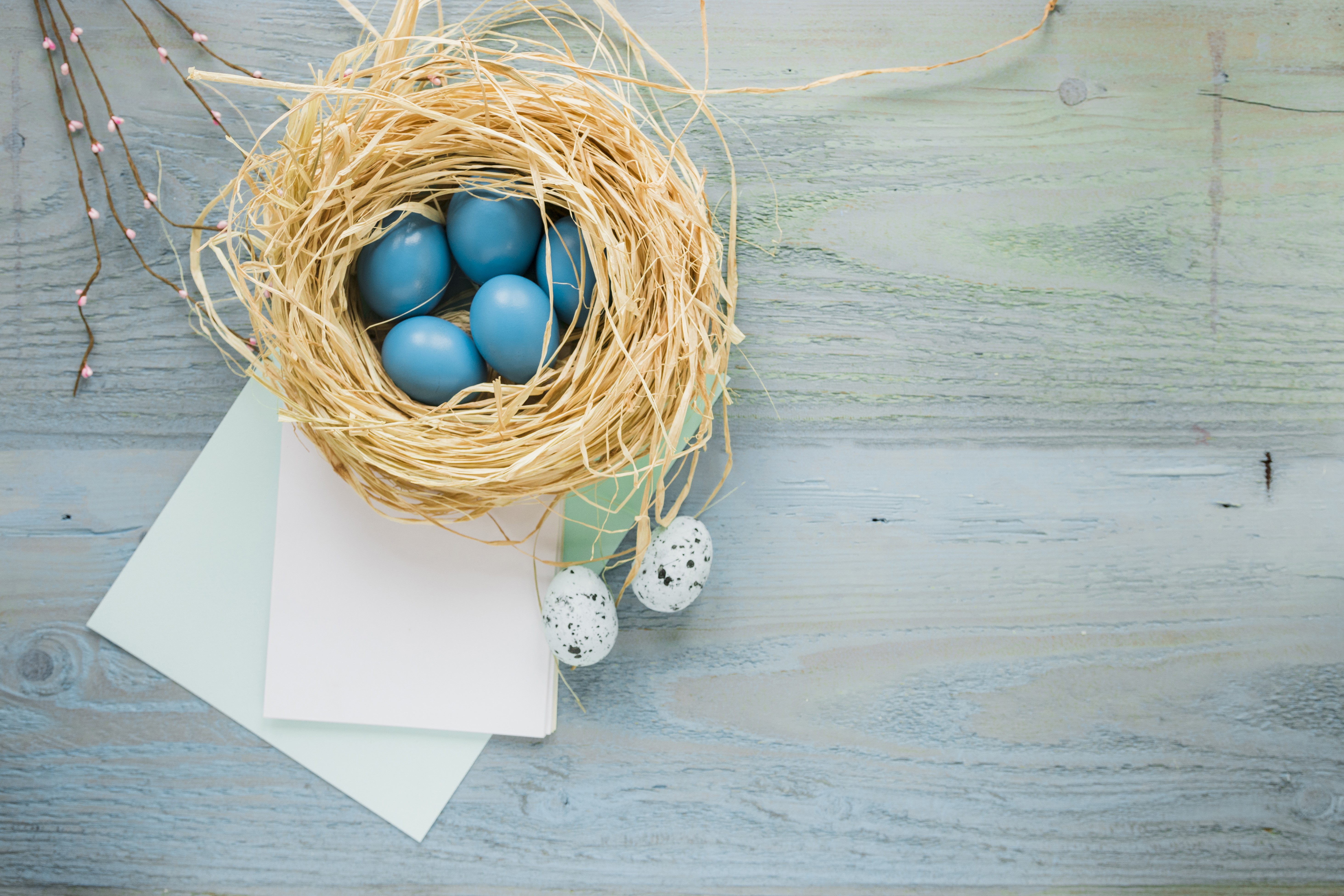 Easter eggs in a nest with paper HD Wallpaper