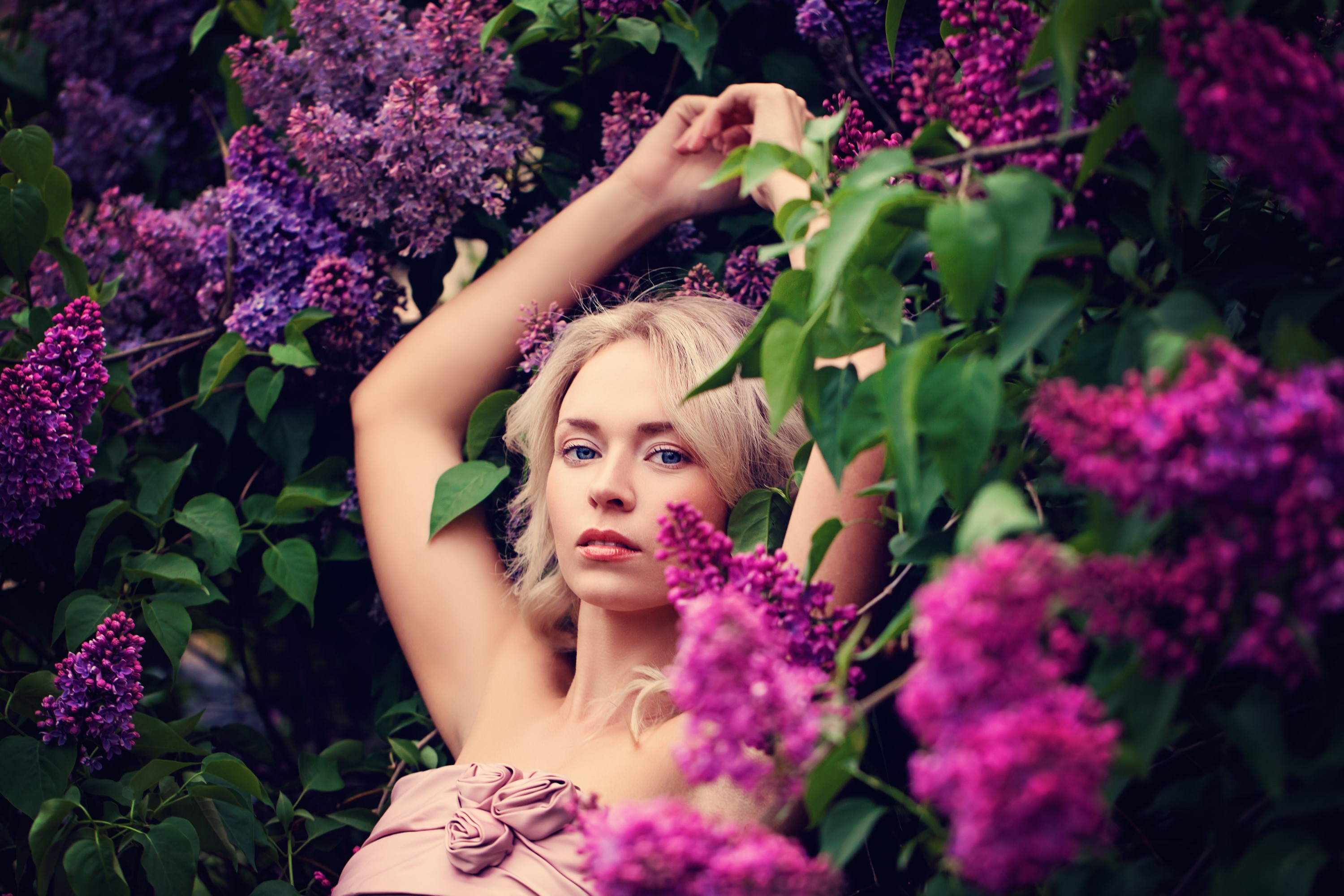 Blonde woman with hands raised among lilacs HD Wallpaper